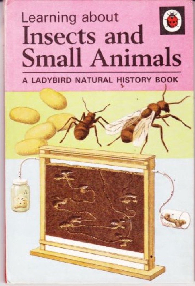 Insects And Small Animals (Natural History) Mathematics