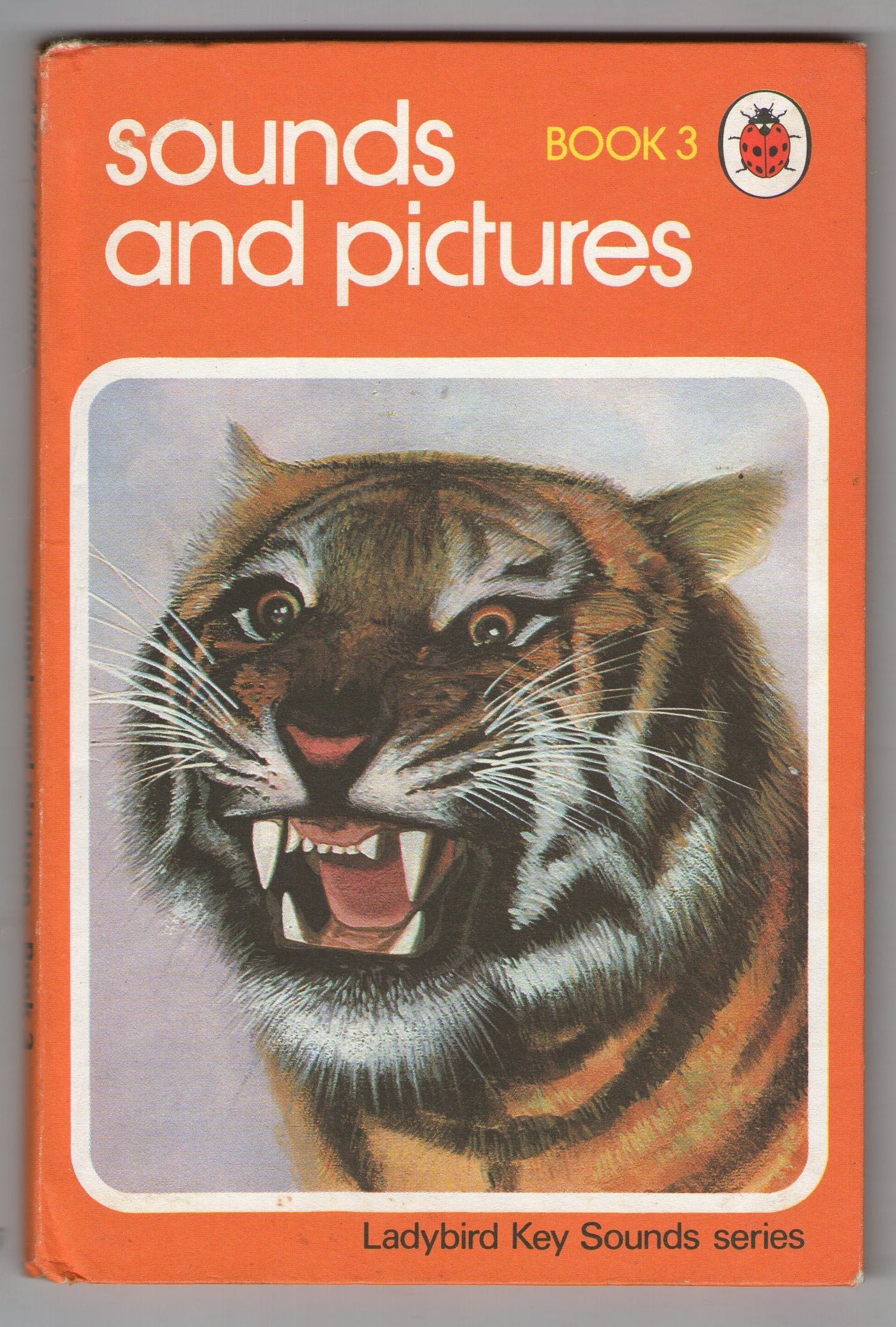 Sounds And Pictures Book 3 book