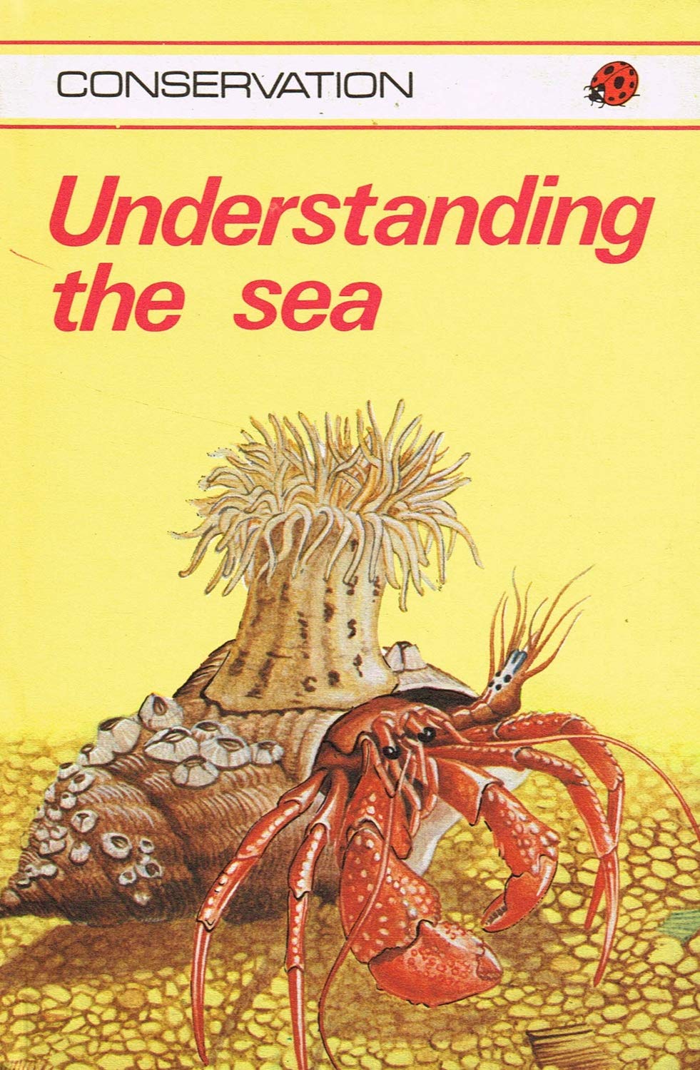 Understanding the Sea (Ladybird conservation books) Natural Sciences