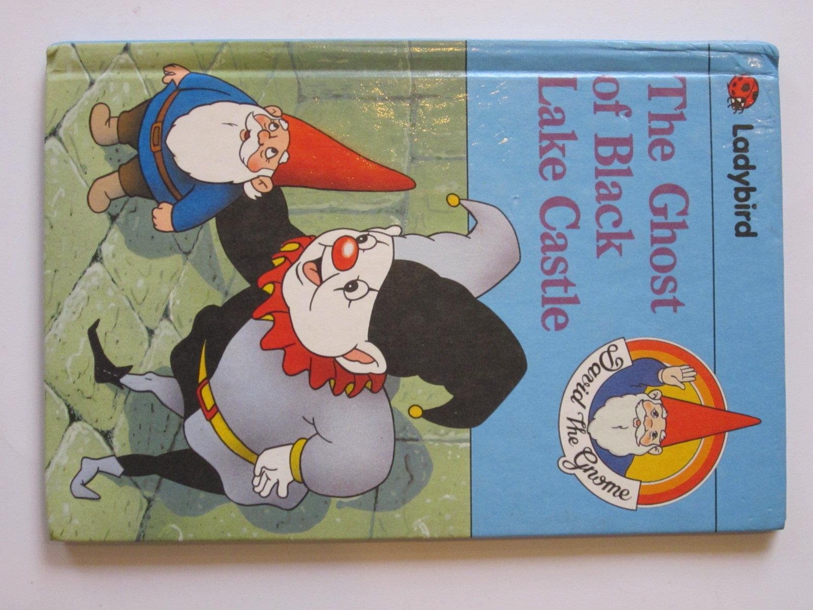 The Ghost of Black Lace Castle (David the gnome) Books