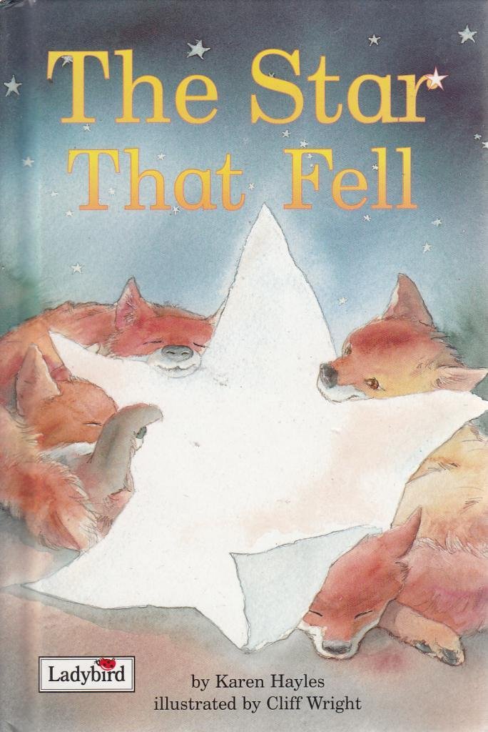 Picture Stories: The Star That Fell (Picture Ladybirds) Novels & Short Stories