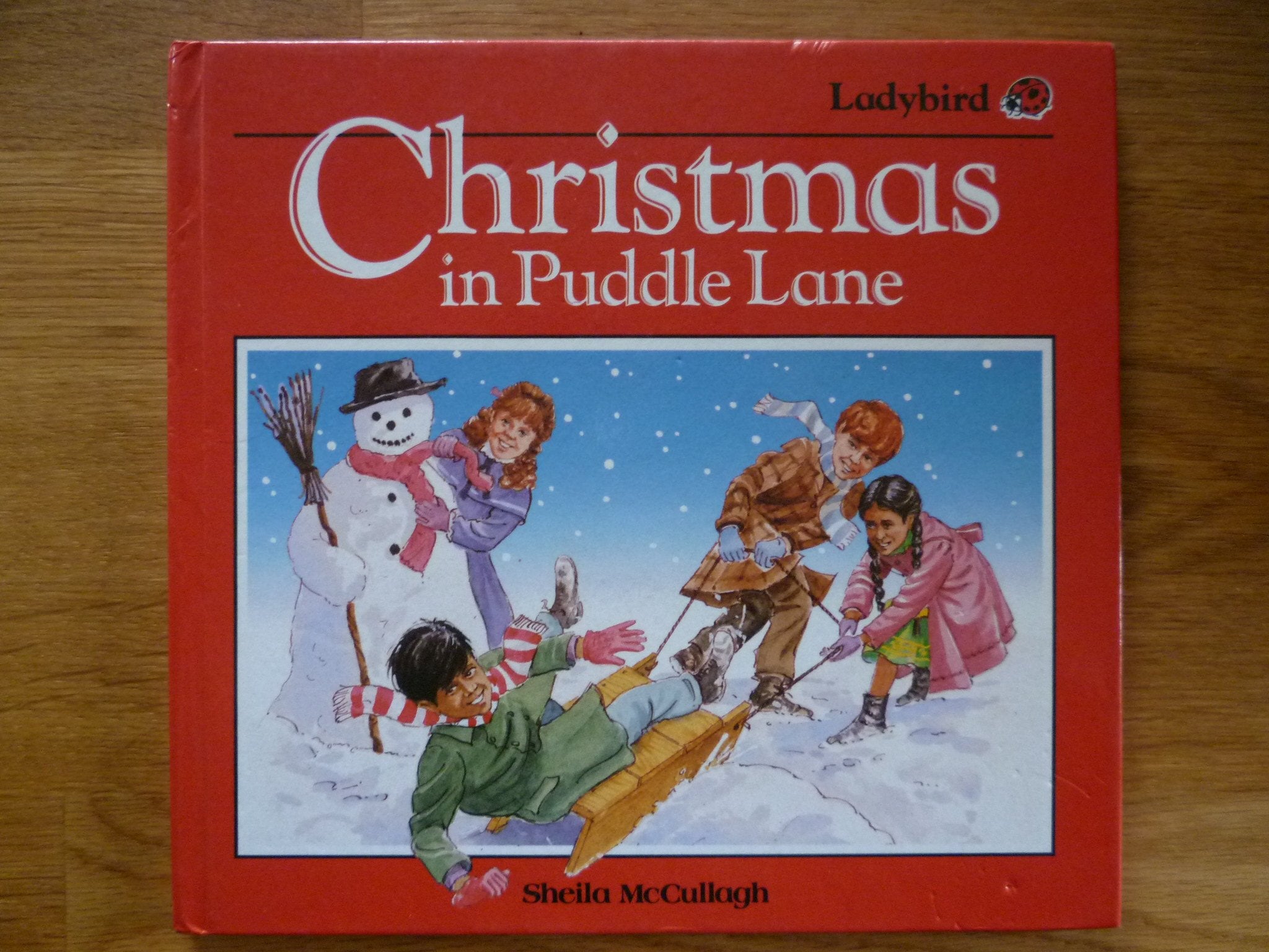 Christmas in Puddle Lane (Puddle Lane square books, Band 14) Non-fiction