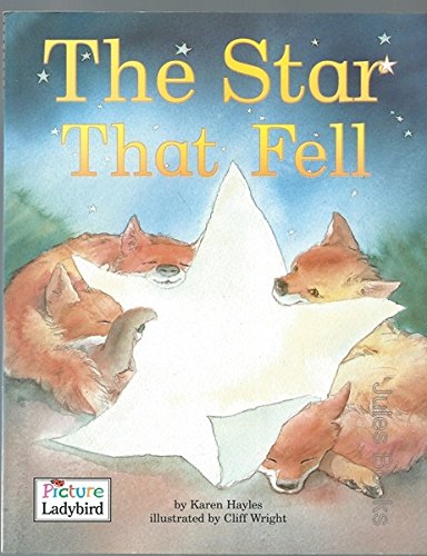 The Star That Fell (Picture Ladybirds) Novels & Short Stories