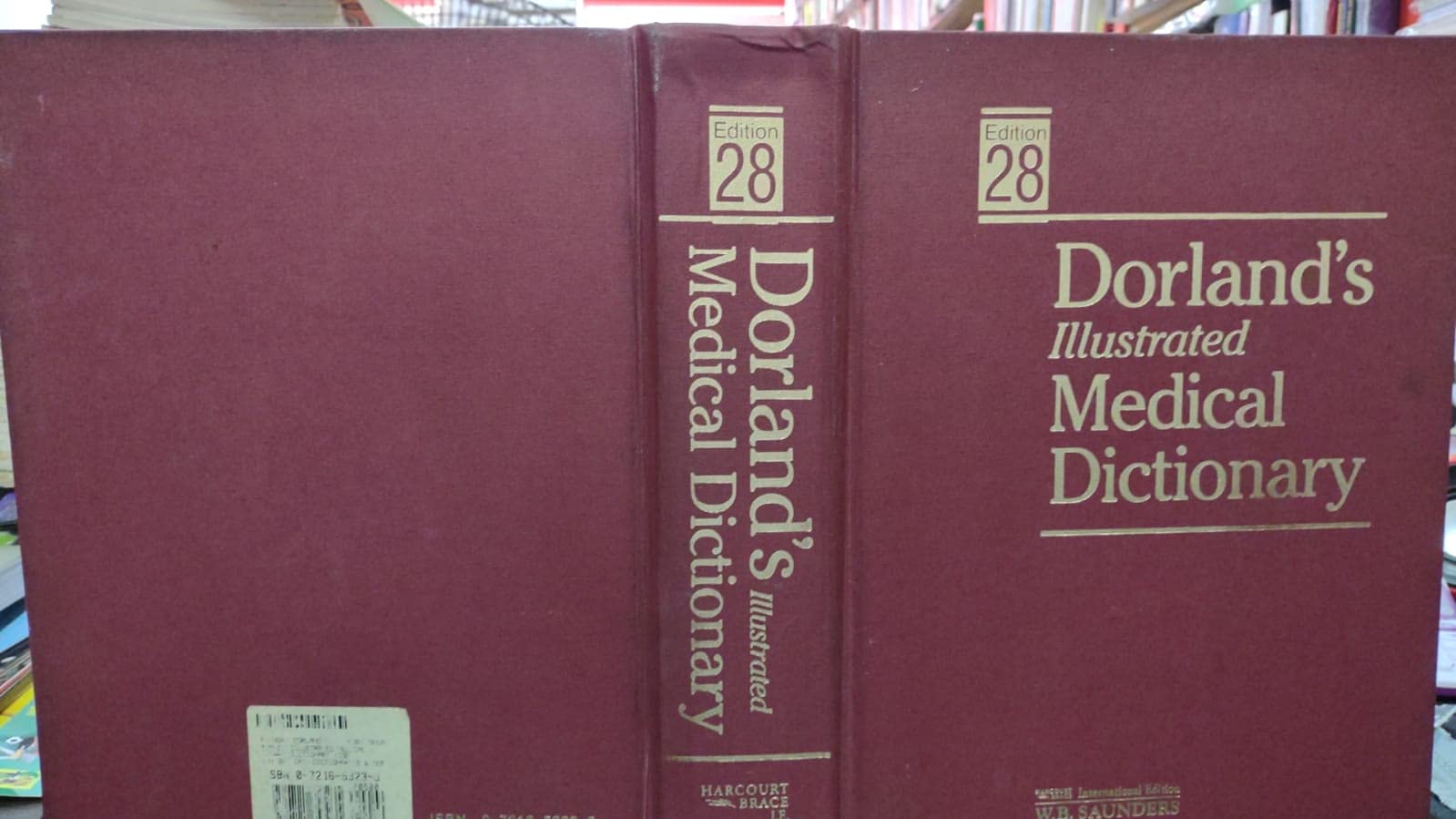 Dorland's Illustrated Medical Dictionary: Standard Edition Medicine