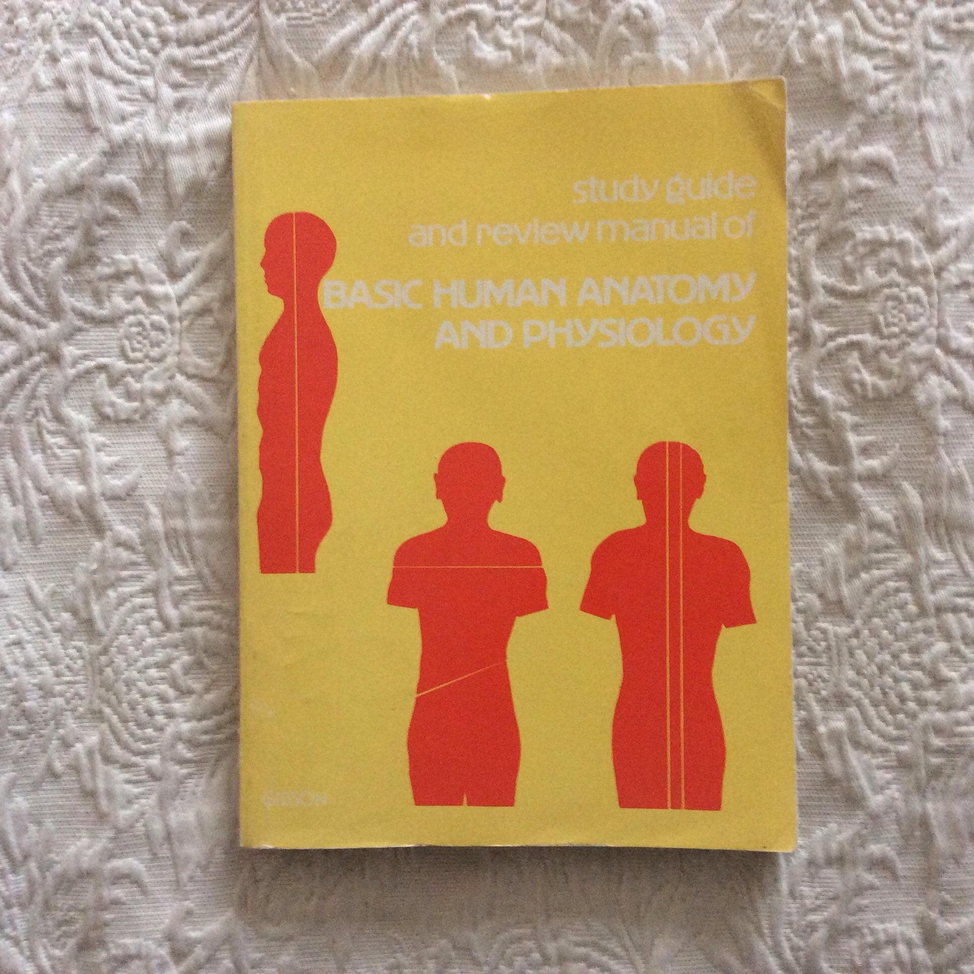 Study guide and review manual of basic human anatomy and physiology Books