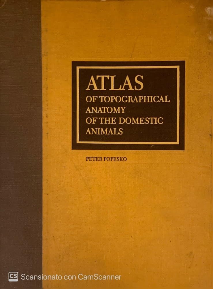 Atlas of Topographical Anatomy of the Domestic Animals book