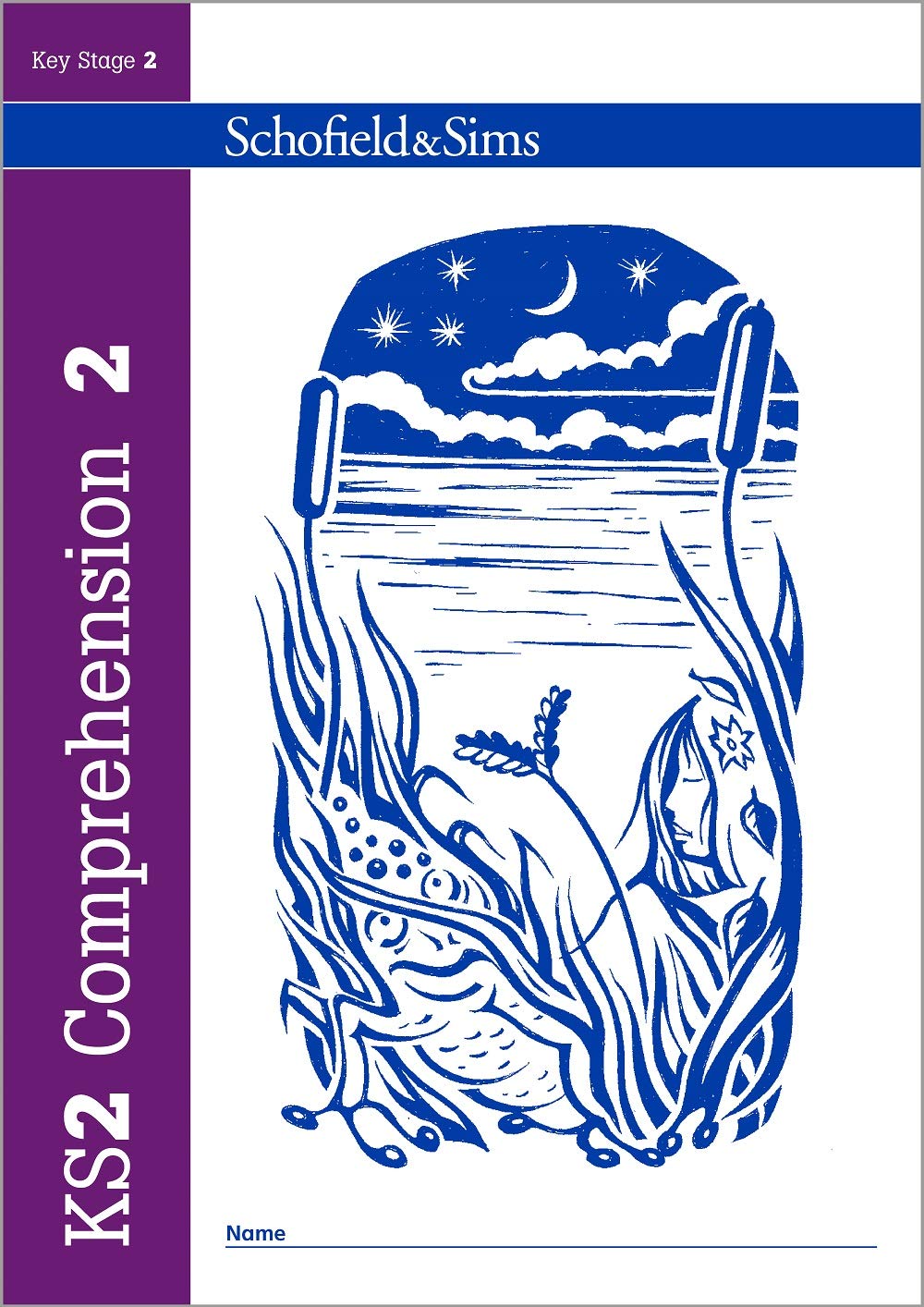 KS2 Comprehension Book 2 Professional & Reference Books