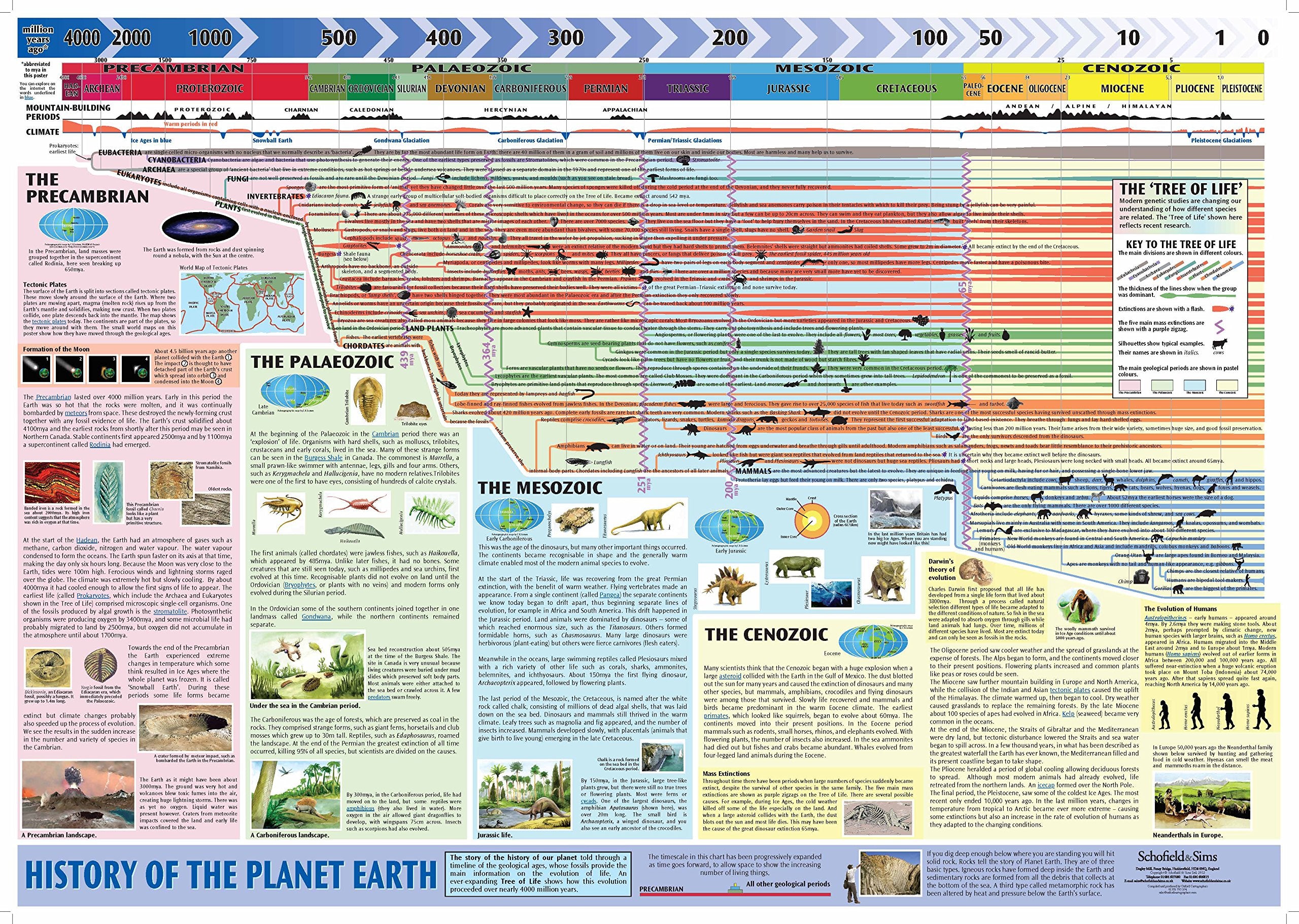 History of Planet Earth - Super Jumbo Maps & Plans