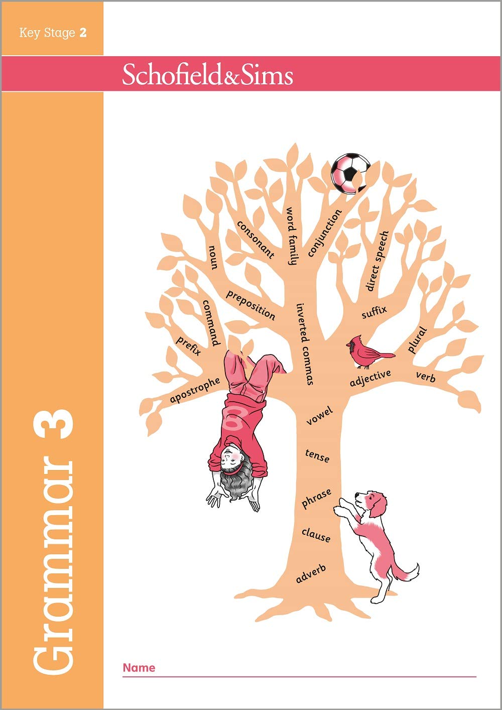 Grammar and Punctuation Book 3: Year 3, Ages 7-8 Reading Aloud & Learning to Read