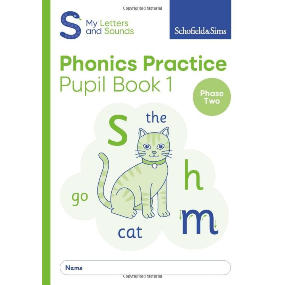 My Letters and Sounds Phonics Practice Pupil Book 1 Professional & Reference Books