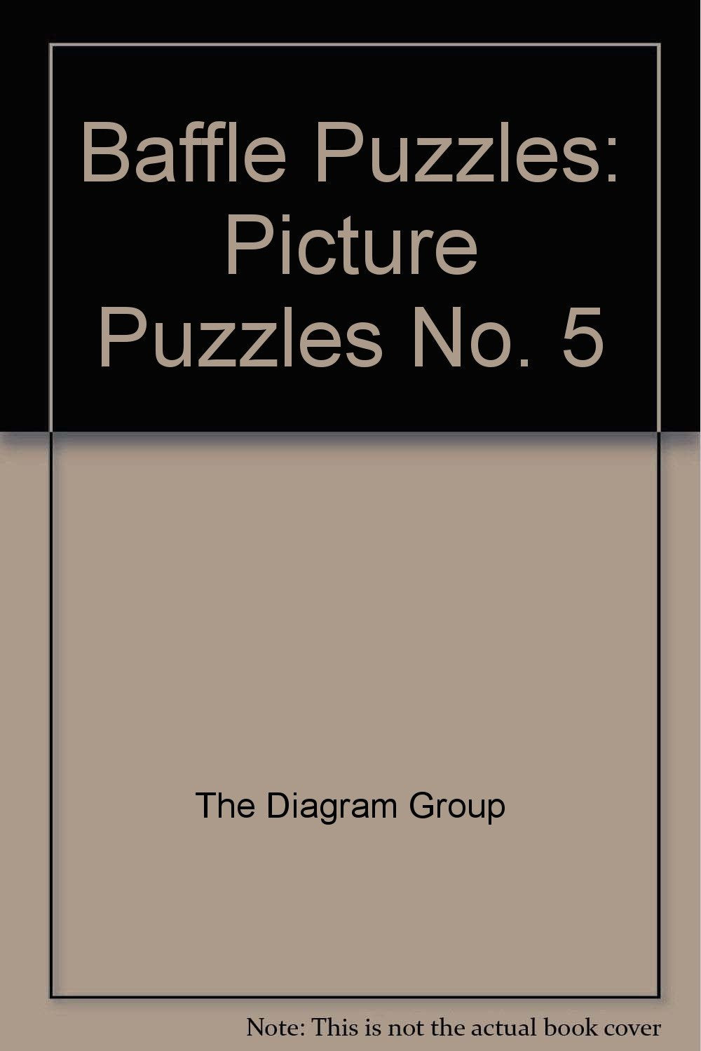Picture Puzzles (No. 5) (Baffle Puzzles) Books