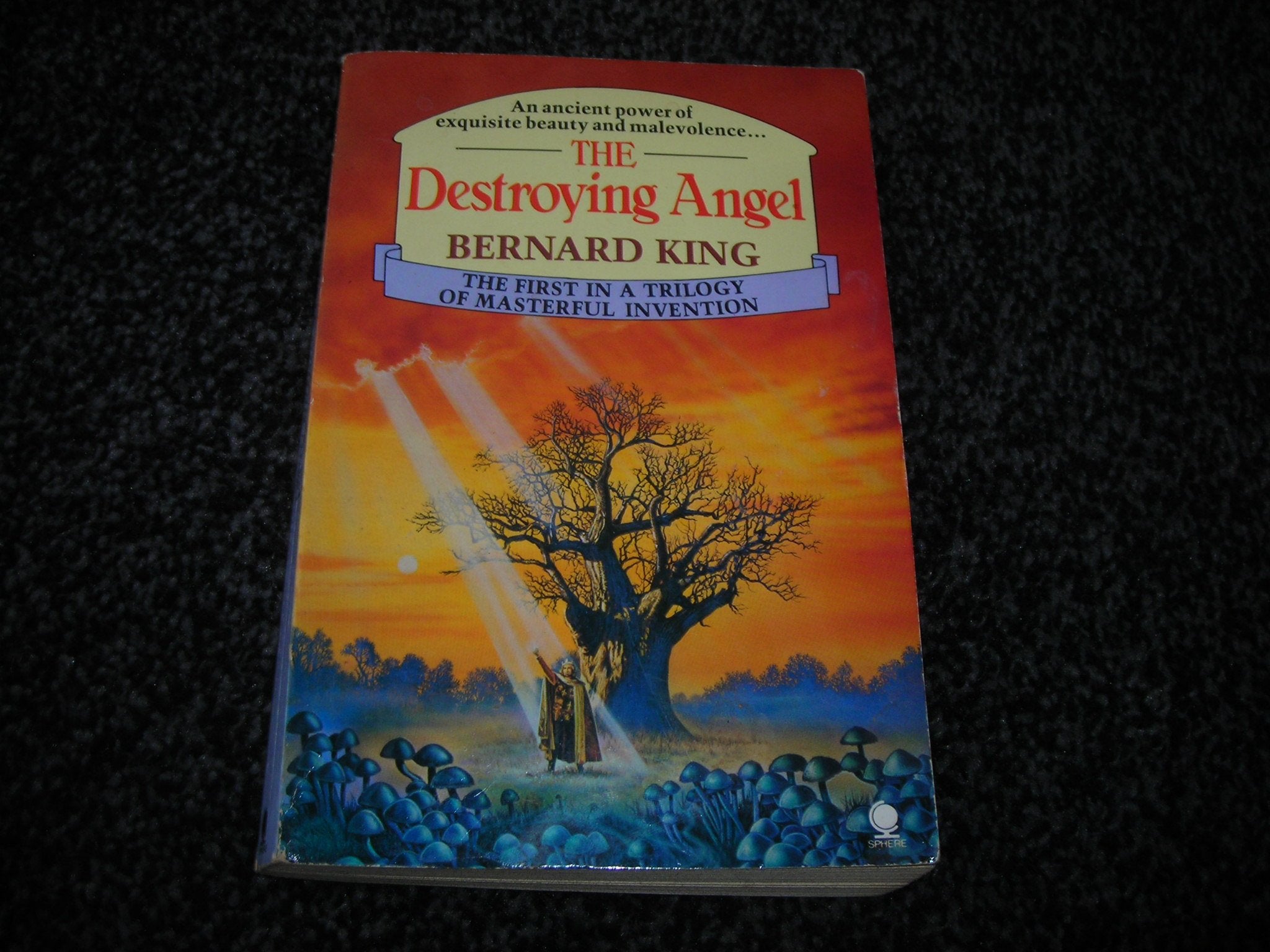 Destroying Angel: Volume 1 of the Chronicles of the Keeper Contemporary literature