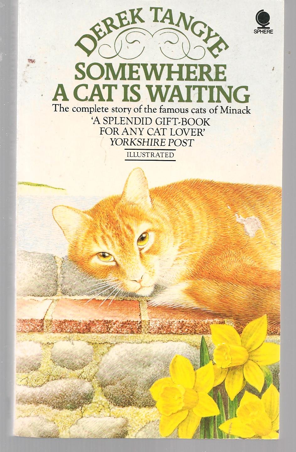 Somewhere a Cat is Waiting: Comprising in Abridged And Edited Versions a Cat in the Window, Lama, a Cat Affair Memories