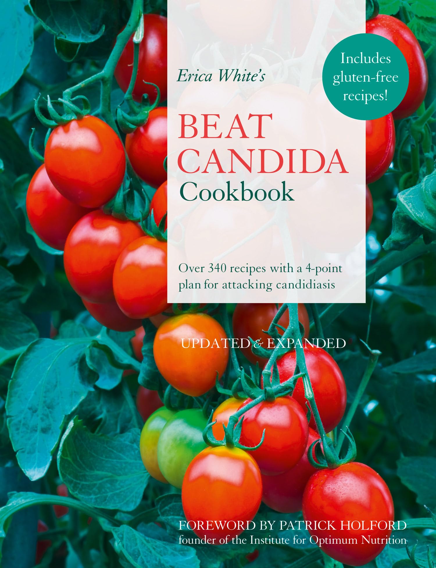 Erica White's Beat Candida Cookbook book