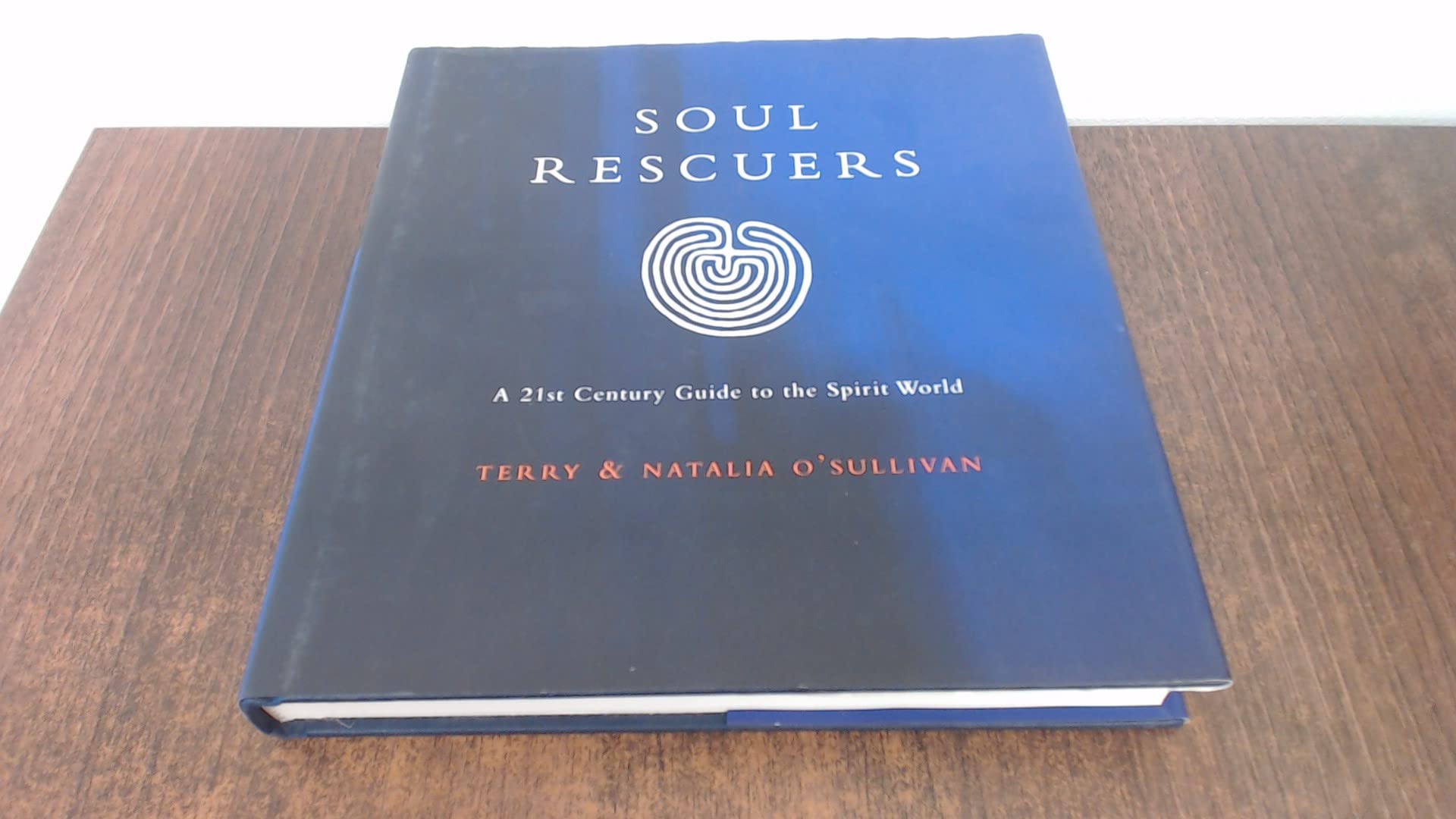 Soul Rescuers: A 21st Century Guide to the Spirit World book