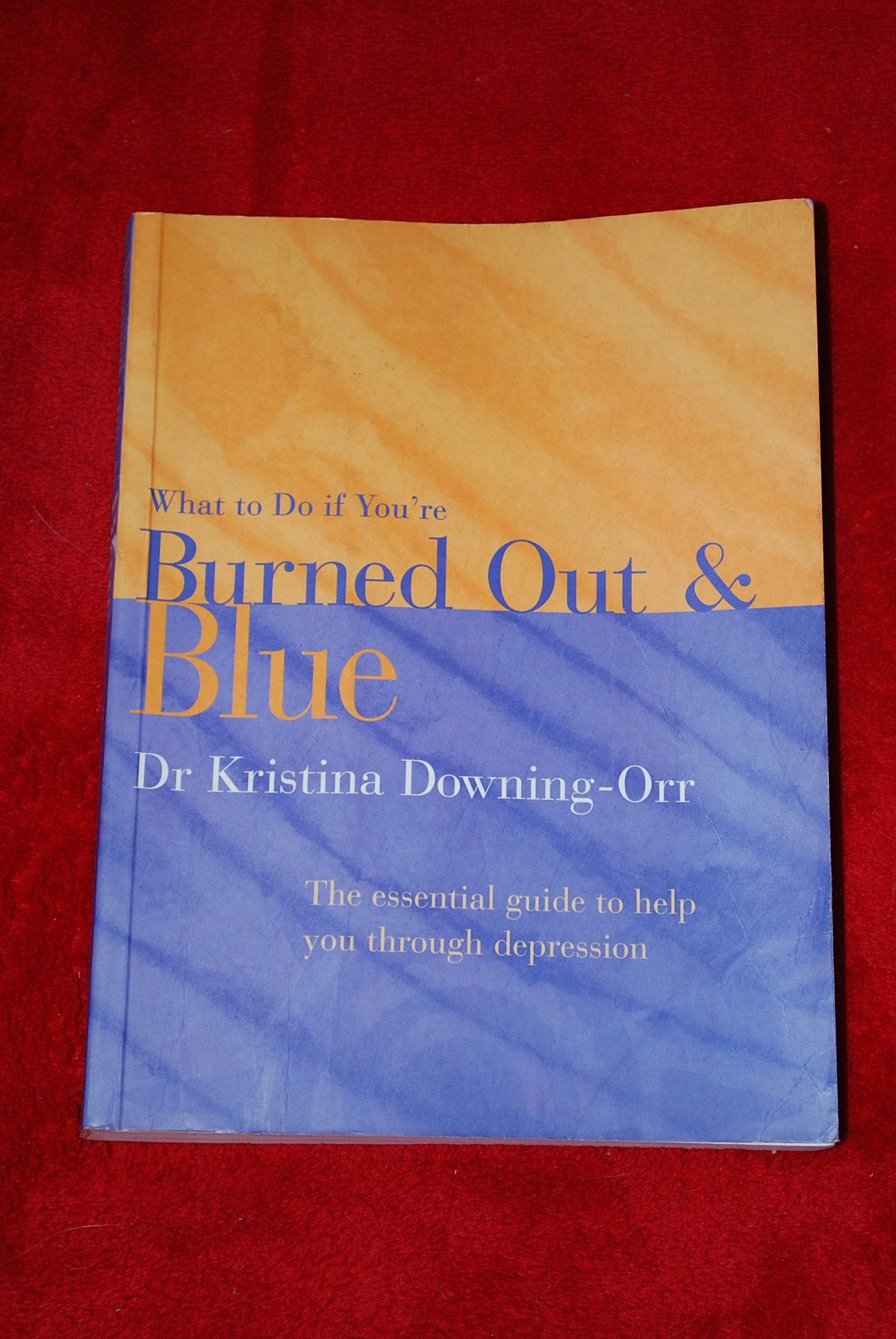 What to Do If You're Burned Out and Blue: The Essential Guide to Help You Through Depression book