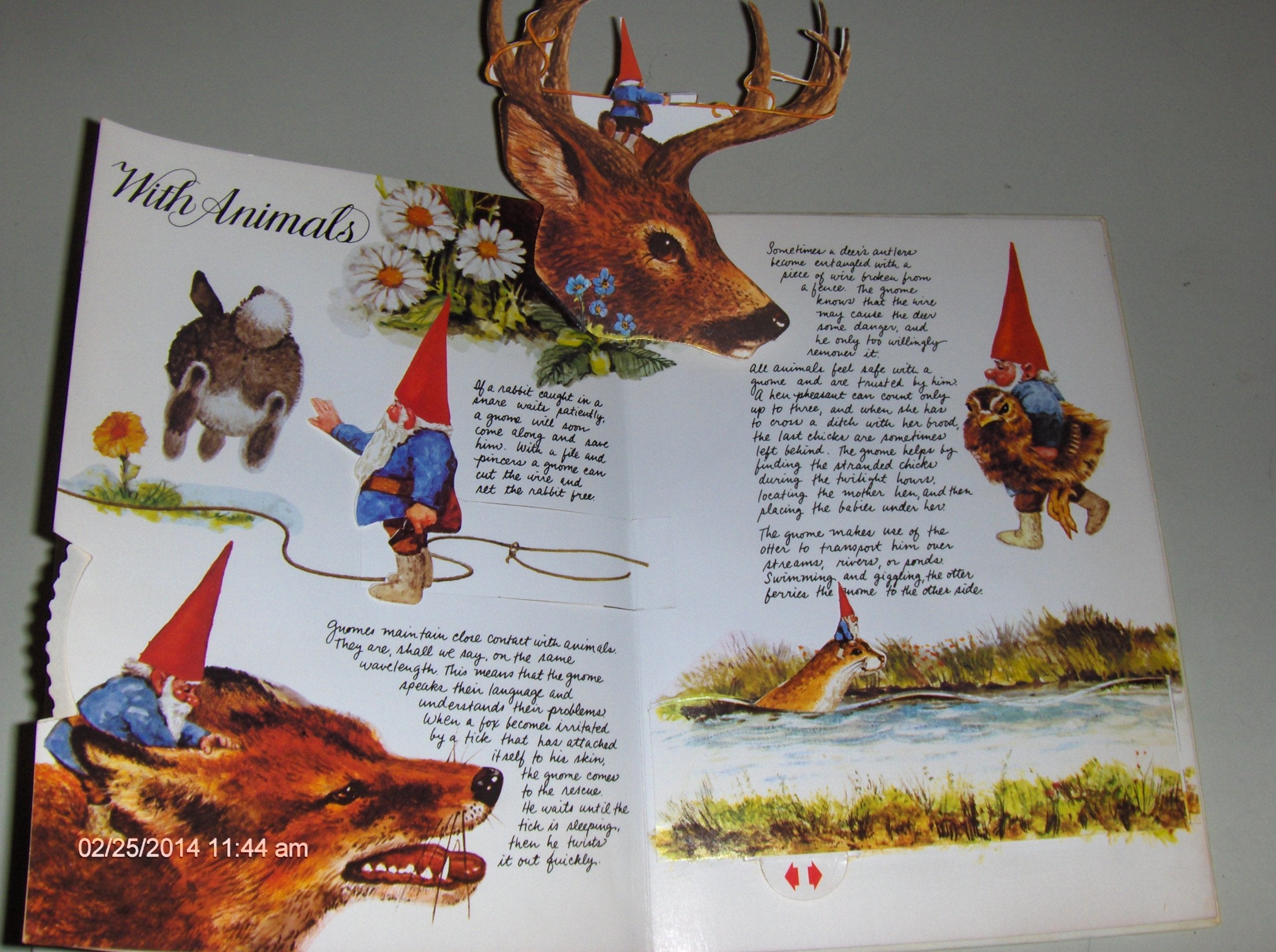 The Pop-up Book of Gnomes (Viking Kestrel picture books) Non-fiction