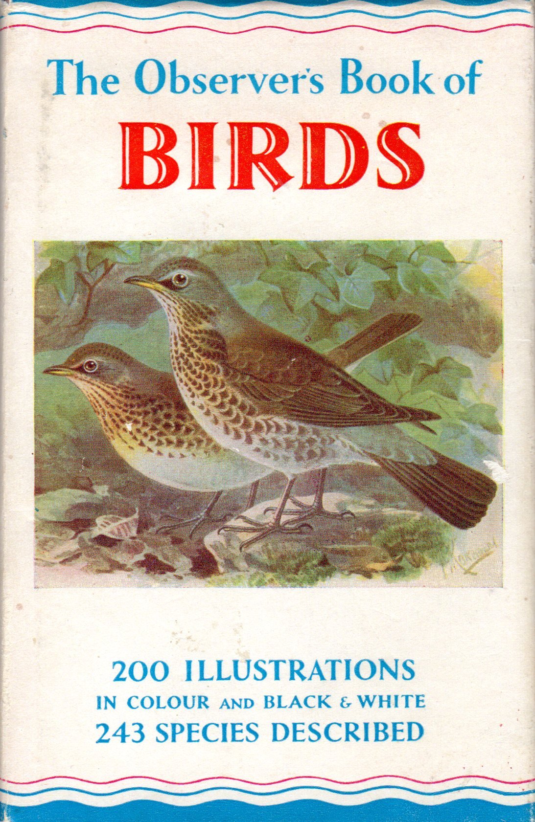 Observer's Book of Birds (Observer's Pocket S.) Mathematics