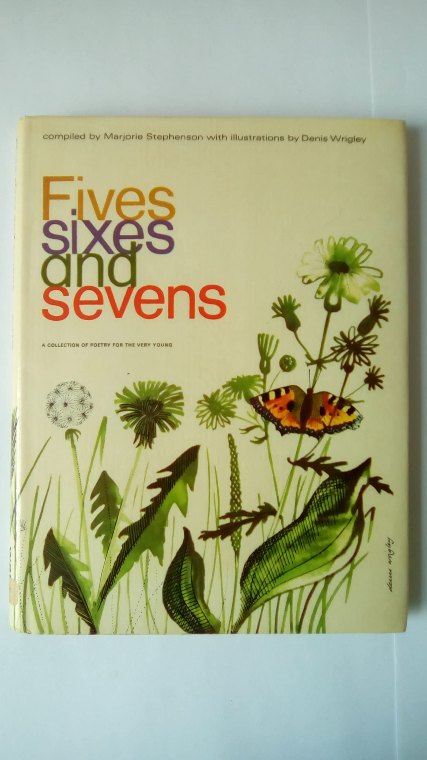 Fives Sixes And Sevens book