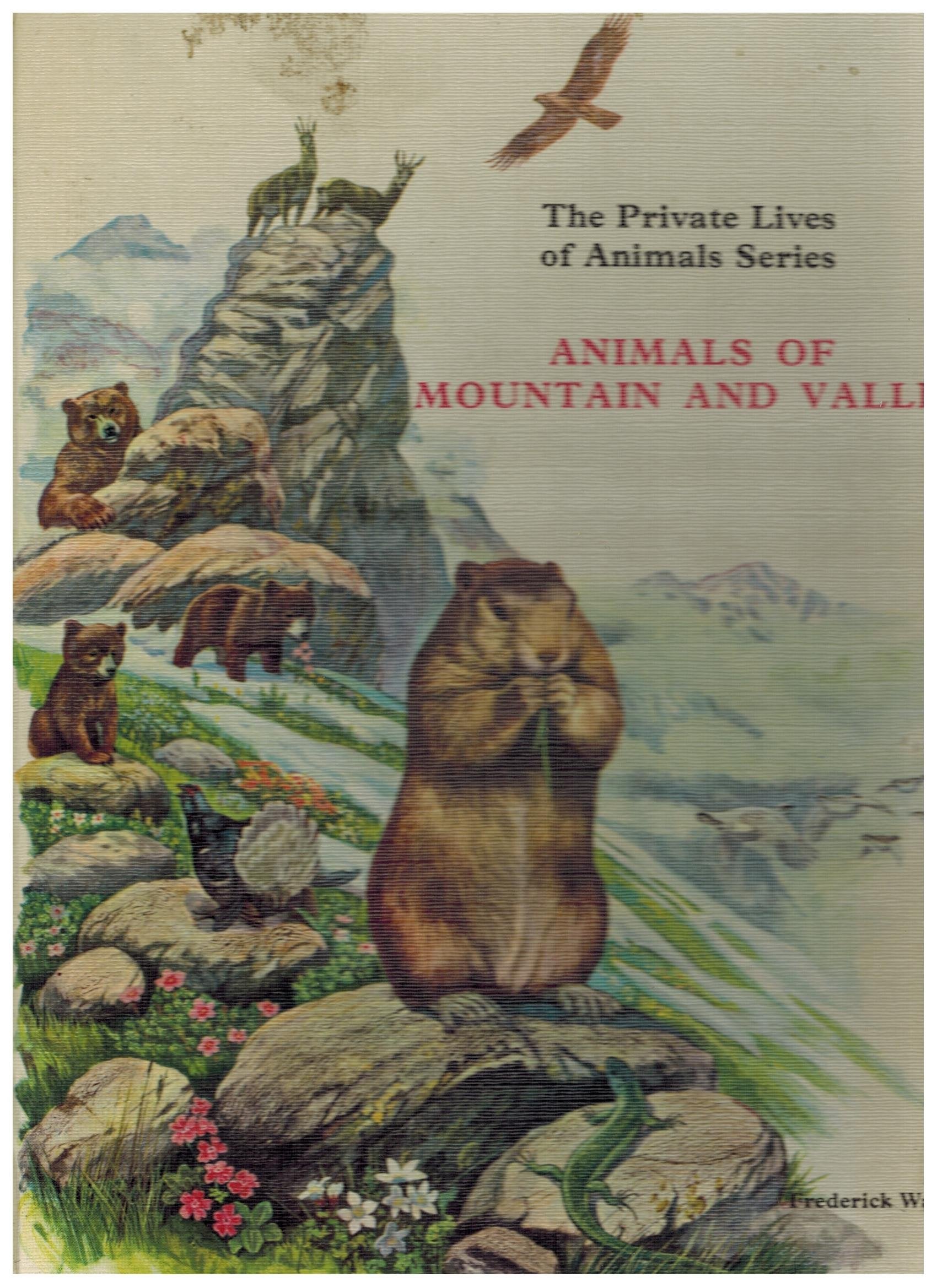 Animals of Mountain and Valley: Animals of mountain and valley (Private Lives of Animals S.) Books