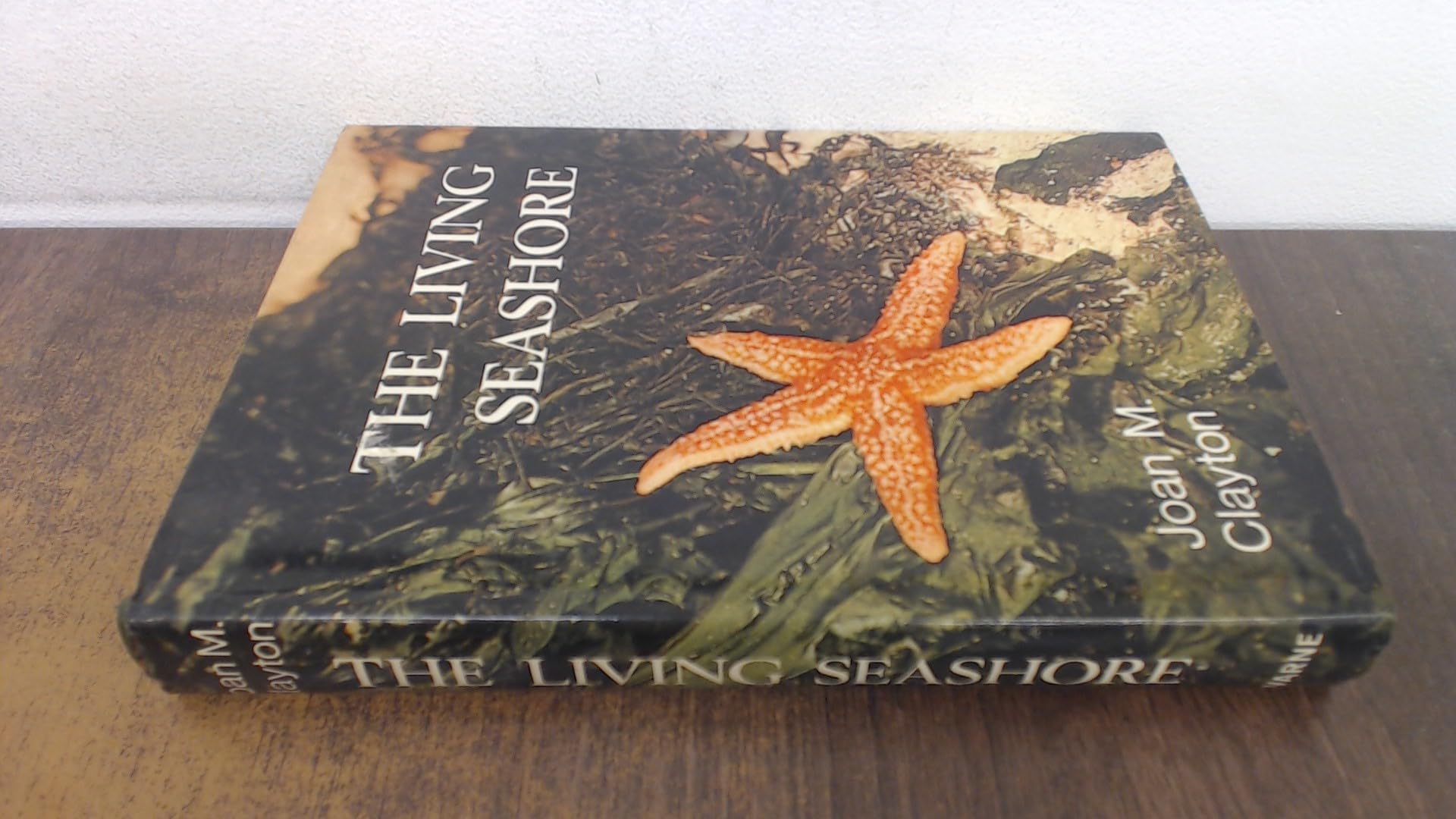 Product Image: Living Seashore