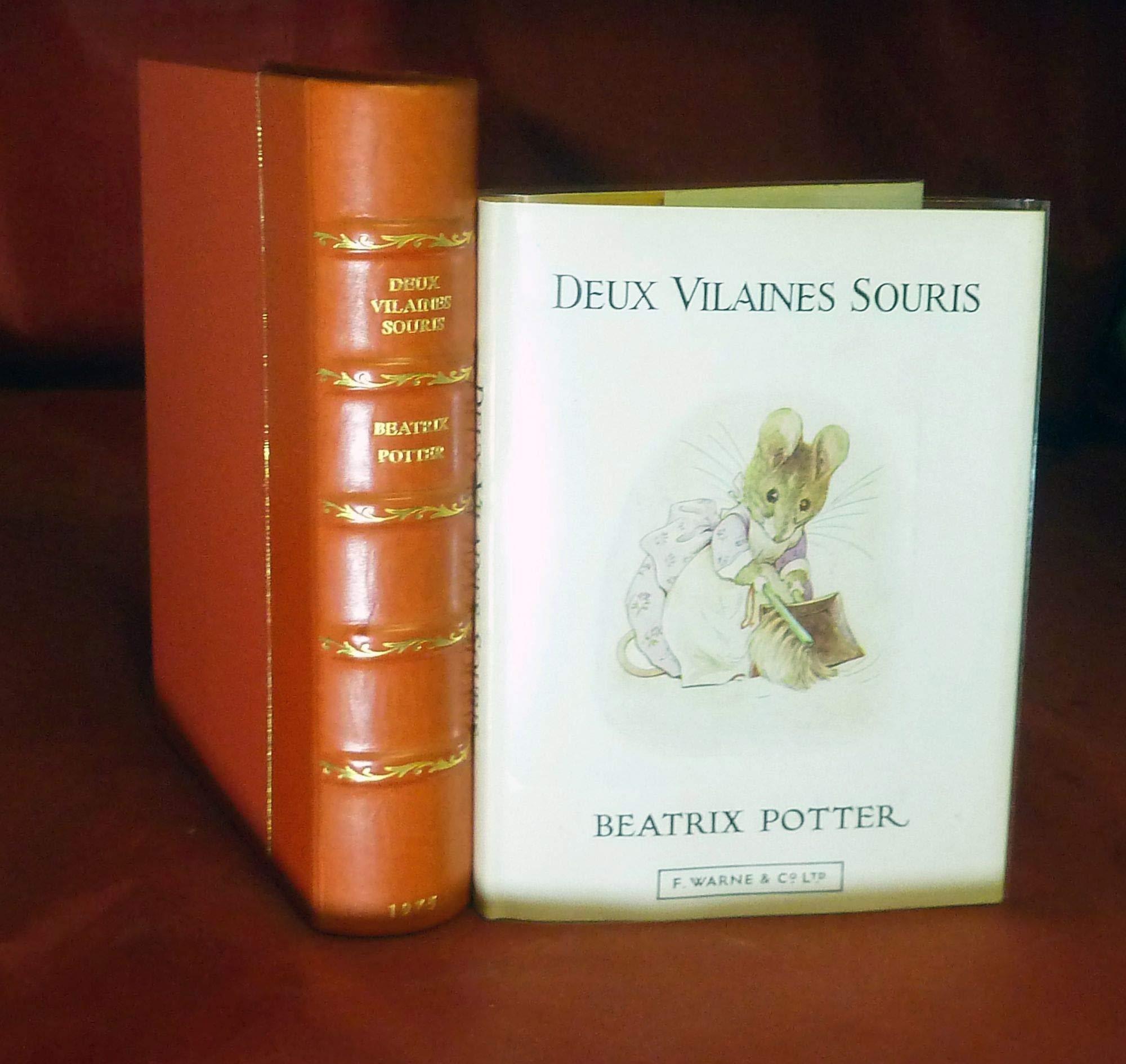 L'histoire De Deux Vilaines Souris(the Tale of Two Bad Mice) book