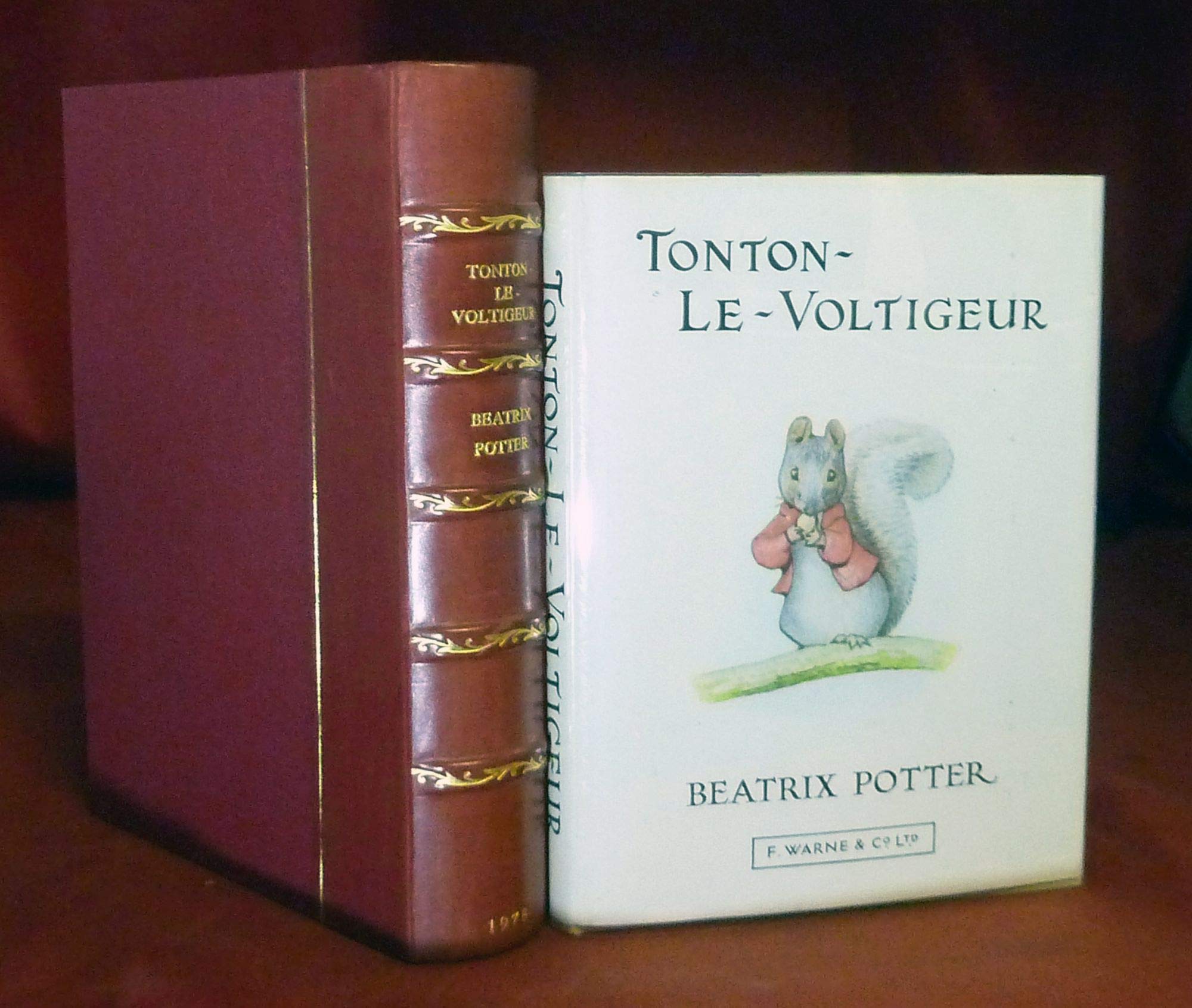L'histoire De Tonton-Le-Voltigeur(the Tale of Timmy Tiptoes) book