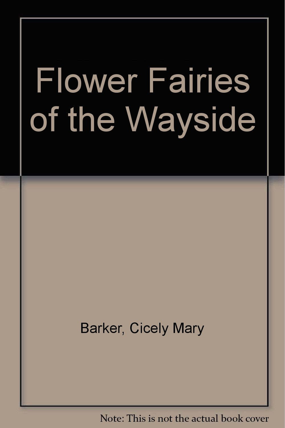 Flower Fairies of the Wayside Books
