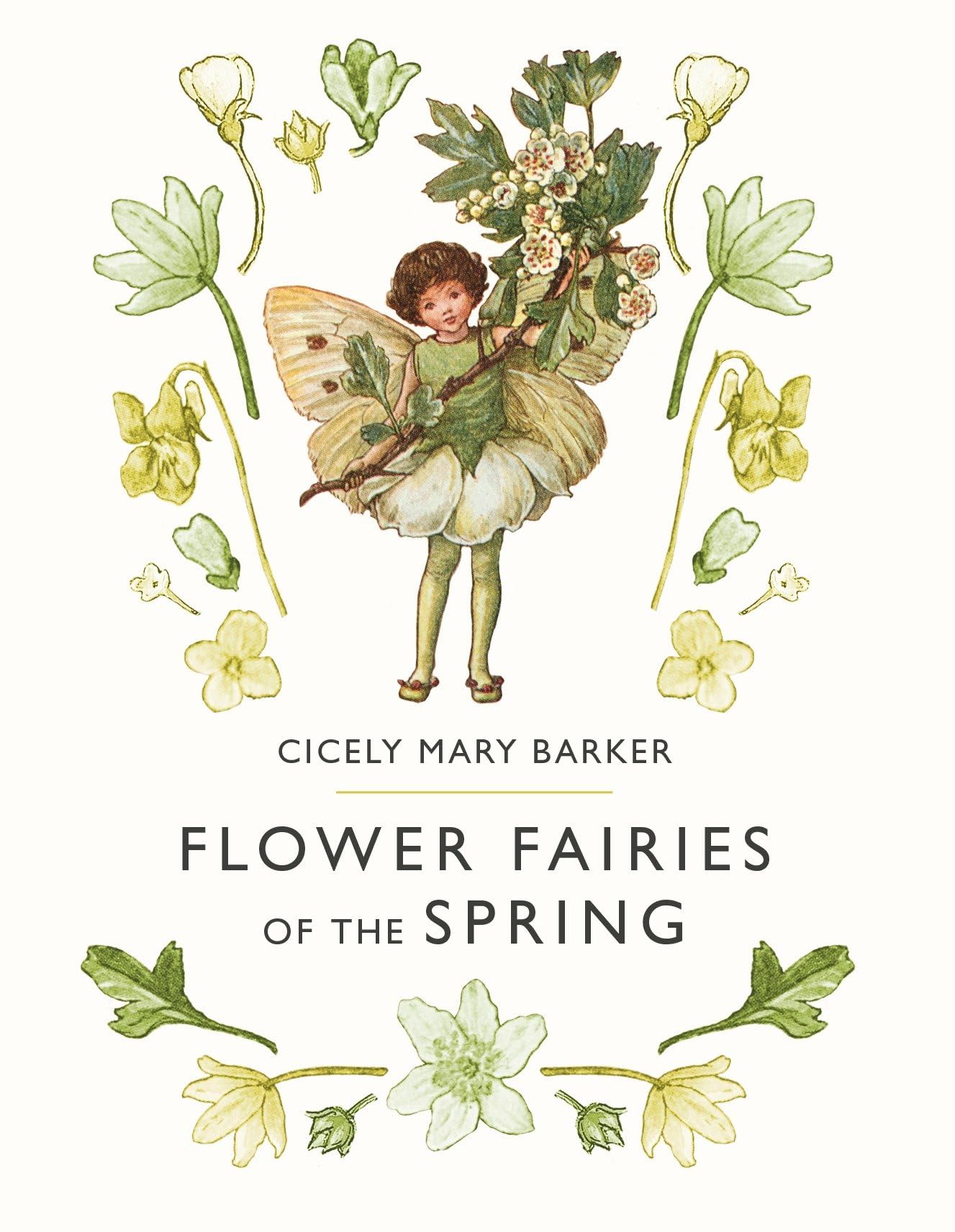 Flower Fairies of the Spring Non-fiction
