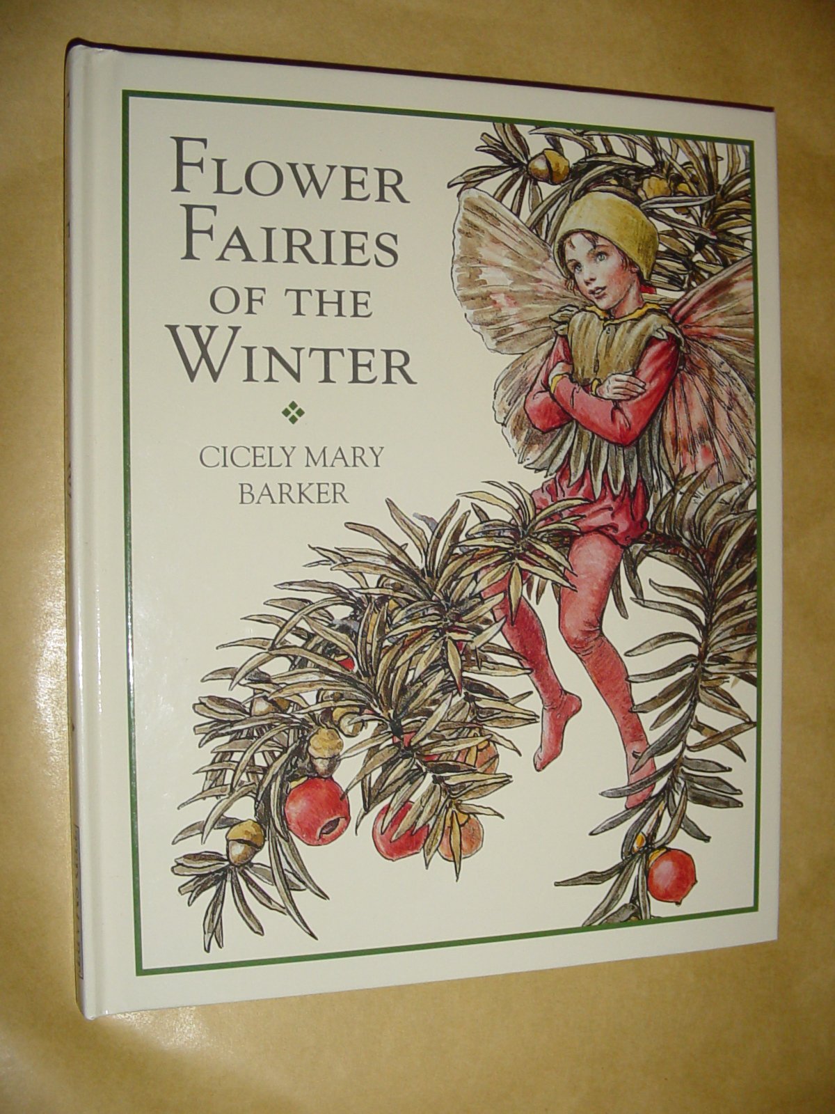 Flower Fairies Library: Flower Fairies of the Winter book