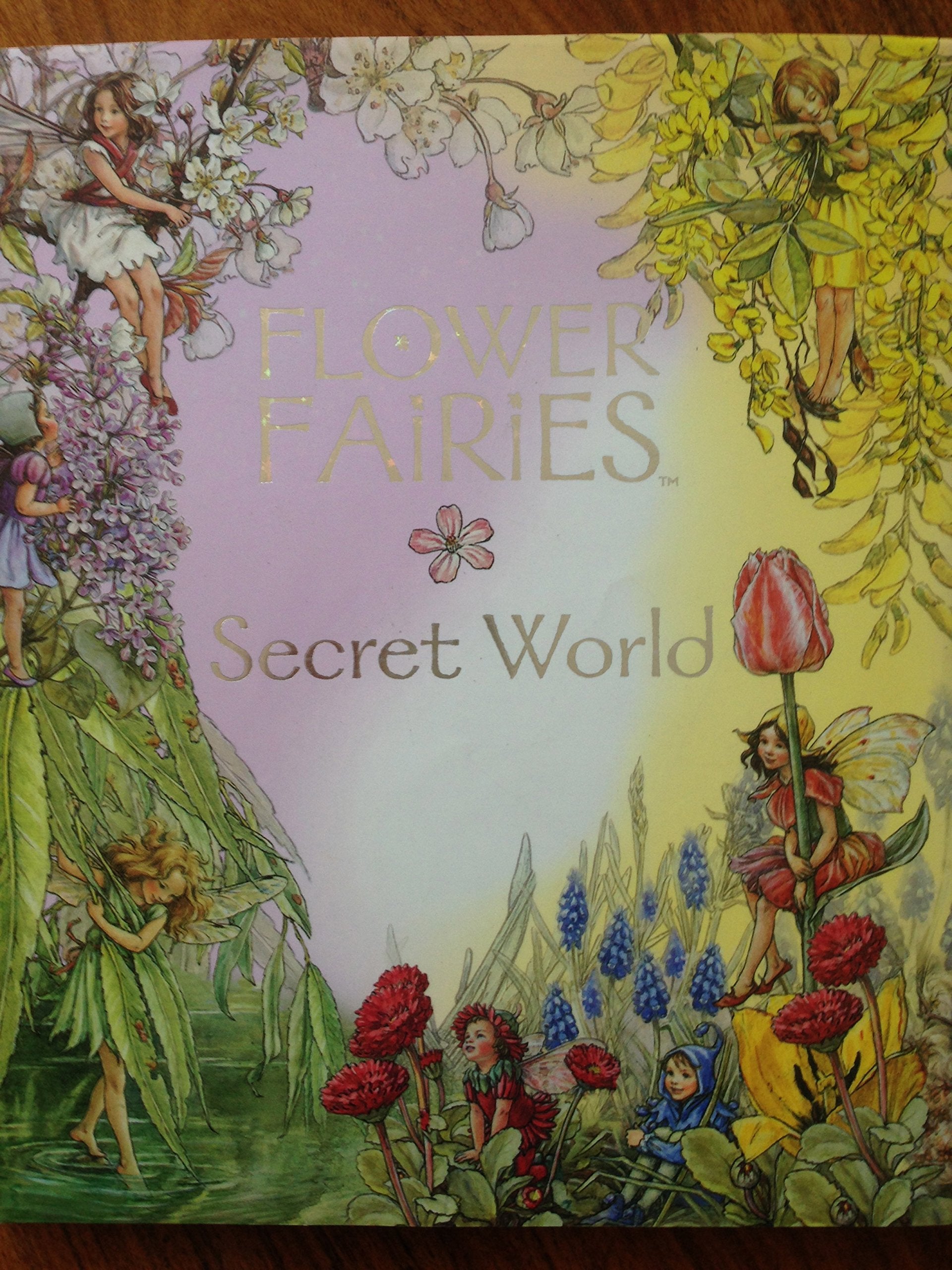 Flower Fairies Secret World (Flower Fairies Collection) Film, Art & Culture