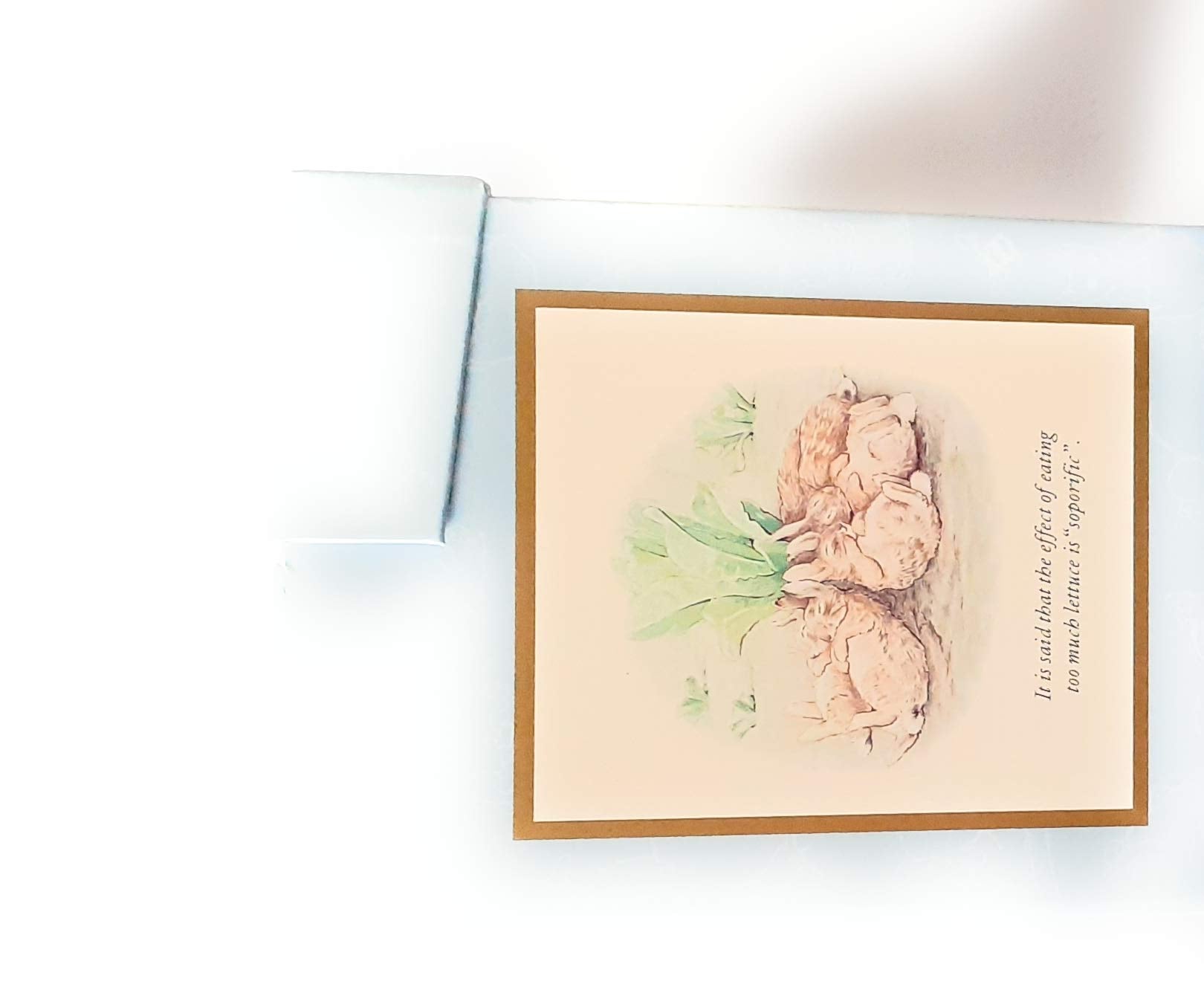 The World of Peter Rabbit - Box Set - The Complete Collection of Original Tales 1-23 Books