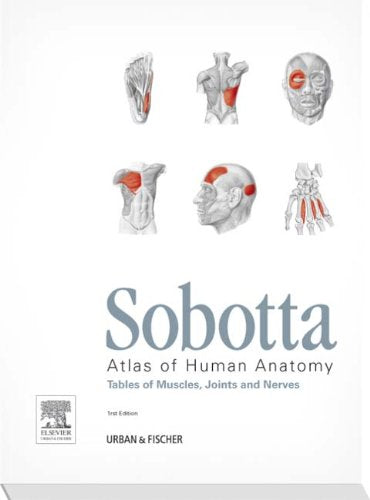 Sobotta Tabellen Holland: Tables to 15th ed. of the Sobotta Atlas (KURZLEHRBUCH - Urban & Fischer Verlag) Medicine