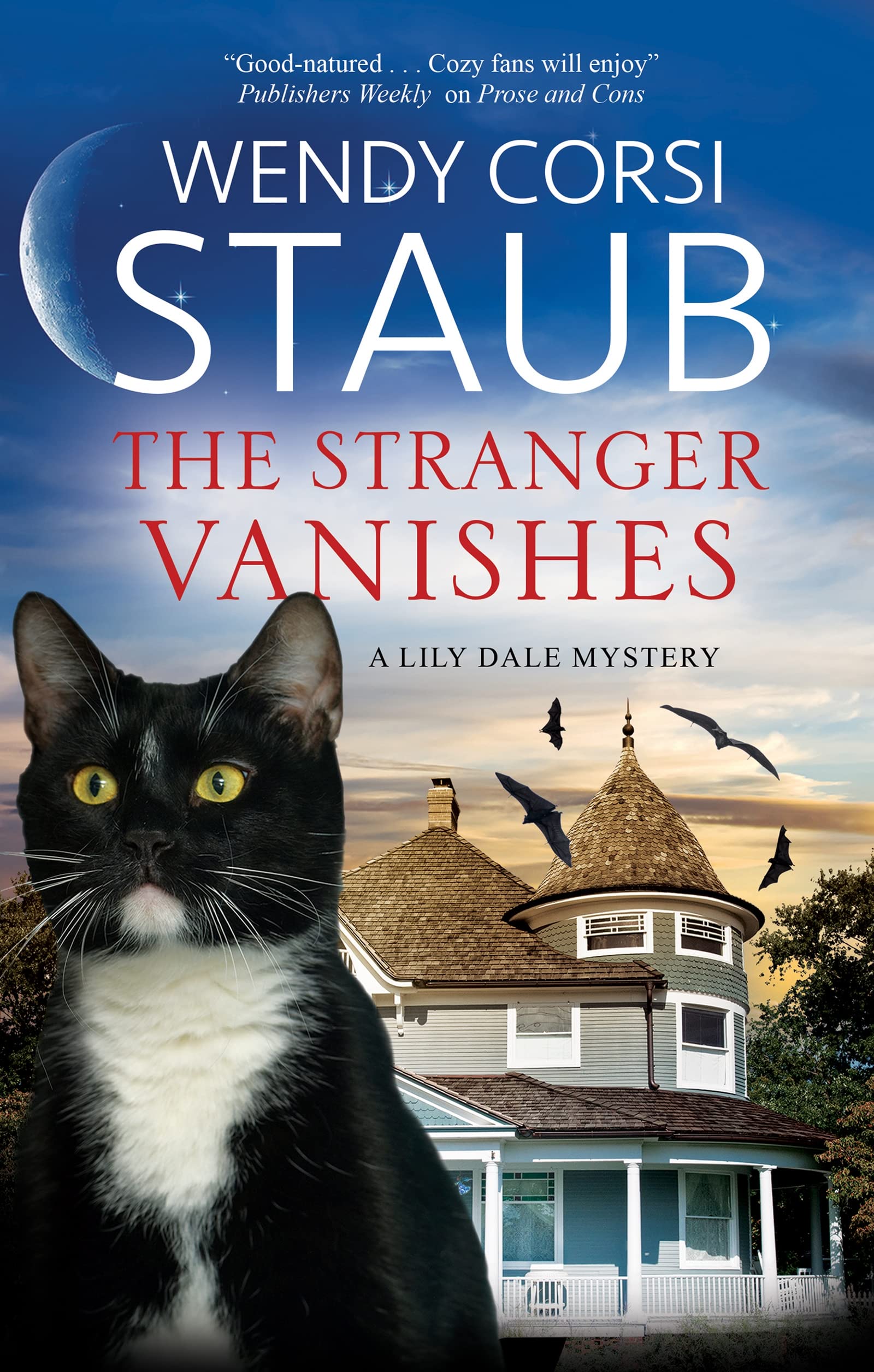The Stranger Vanishes (Lily Dale Mysteries) Contemporary literature