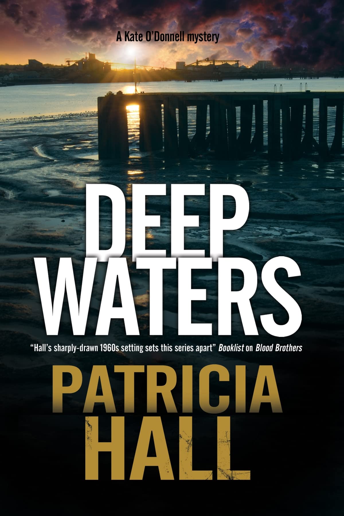 Deep Waters: A British Mystery Set in London of the Swinging 1960s (Kate O'Donnell Mysteries, Band 5) Historical Fiction