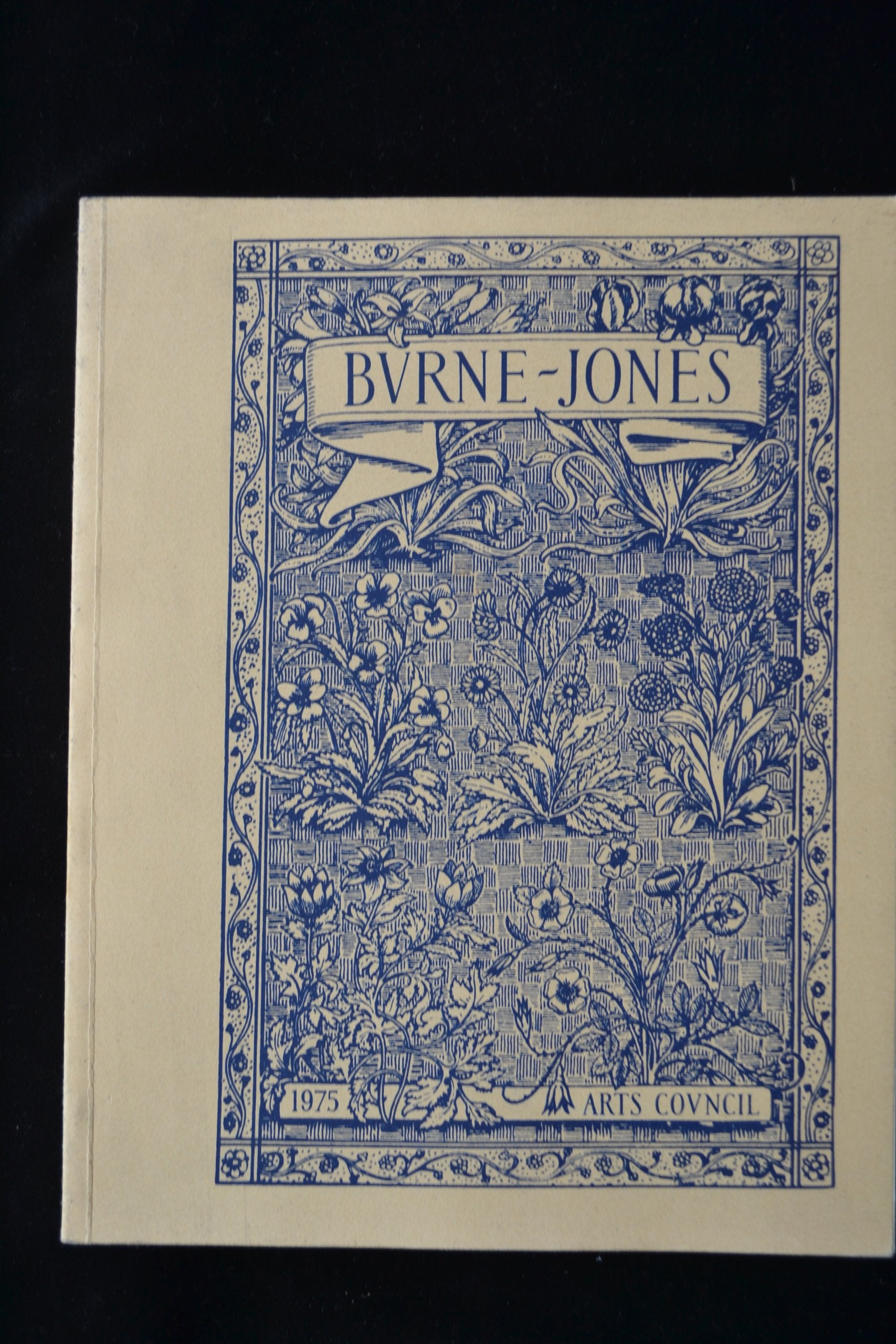 Burne-Jones: The paintings, graphic, and decorative work of Sir Edward Burne-Jones, 1833-98 Books