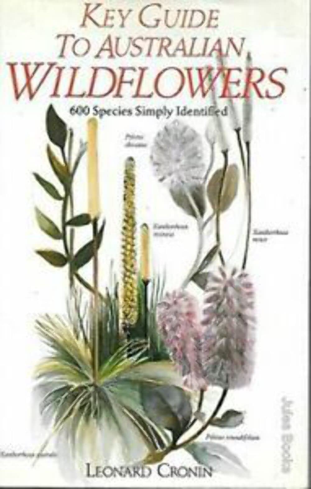 Key Guide to Australian Wild Flowers (Key Guide Series) Mathematics