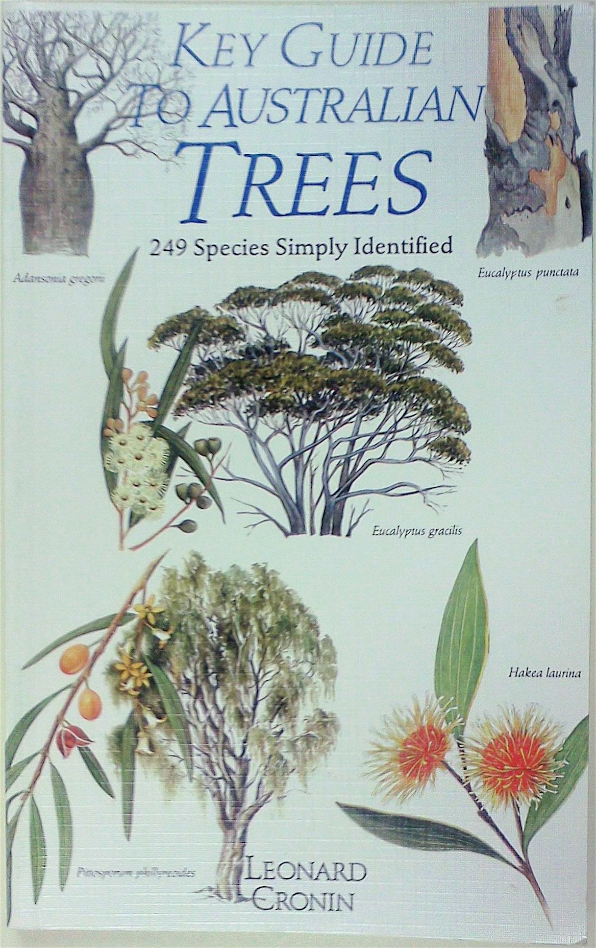 Product Image: Key Guide to Australian Trees (Key Guide Series)