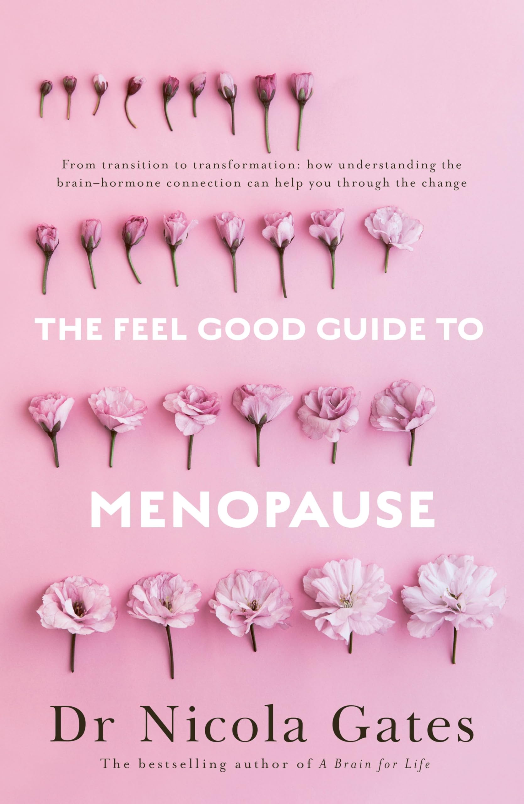 The Feel Good Guide to Menopause book