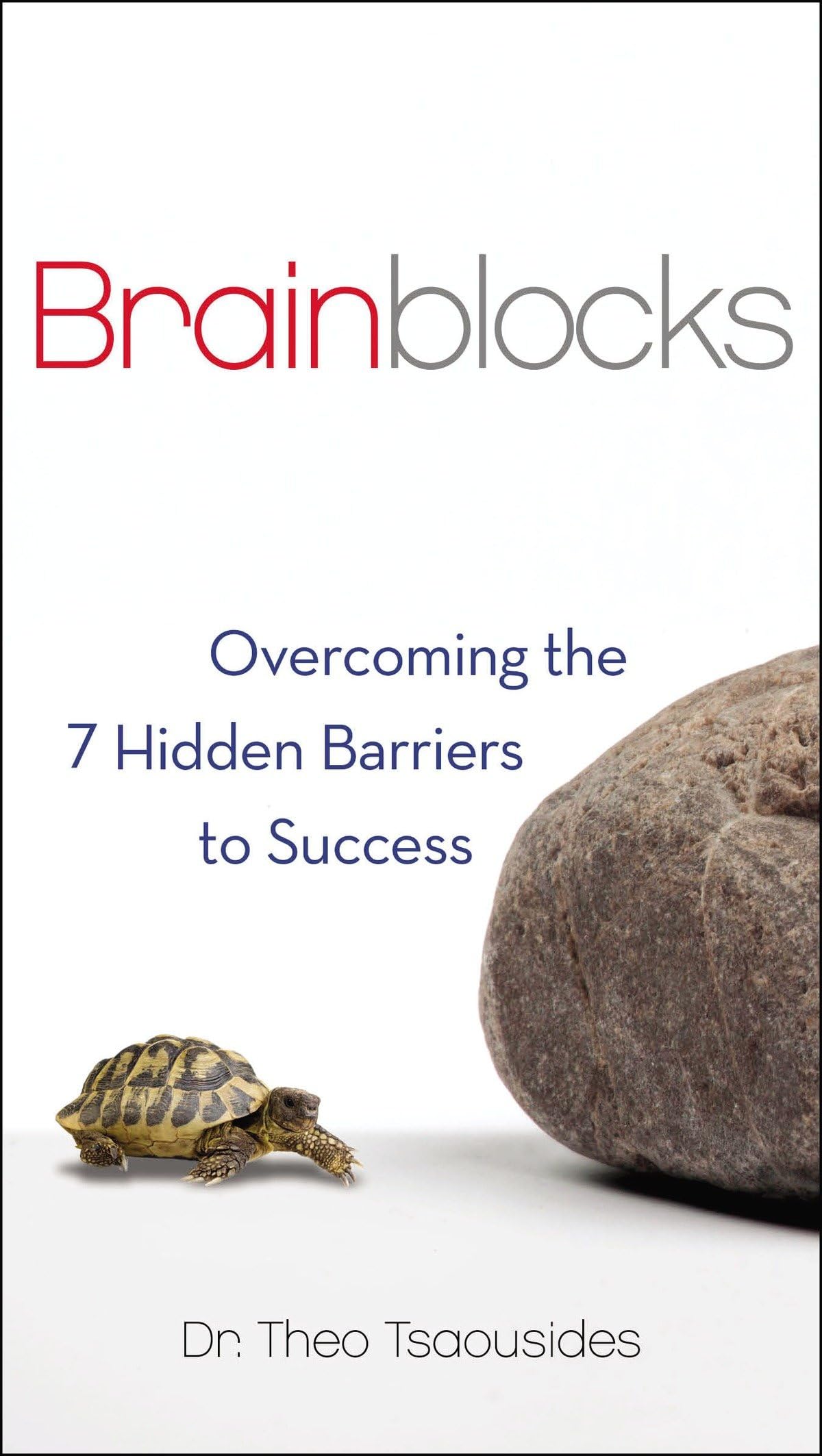 Brainblocks: Overcoming the 7 Hidden Barriers to Success Business, Finance & Career