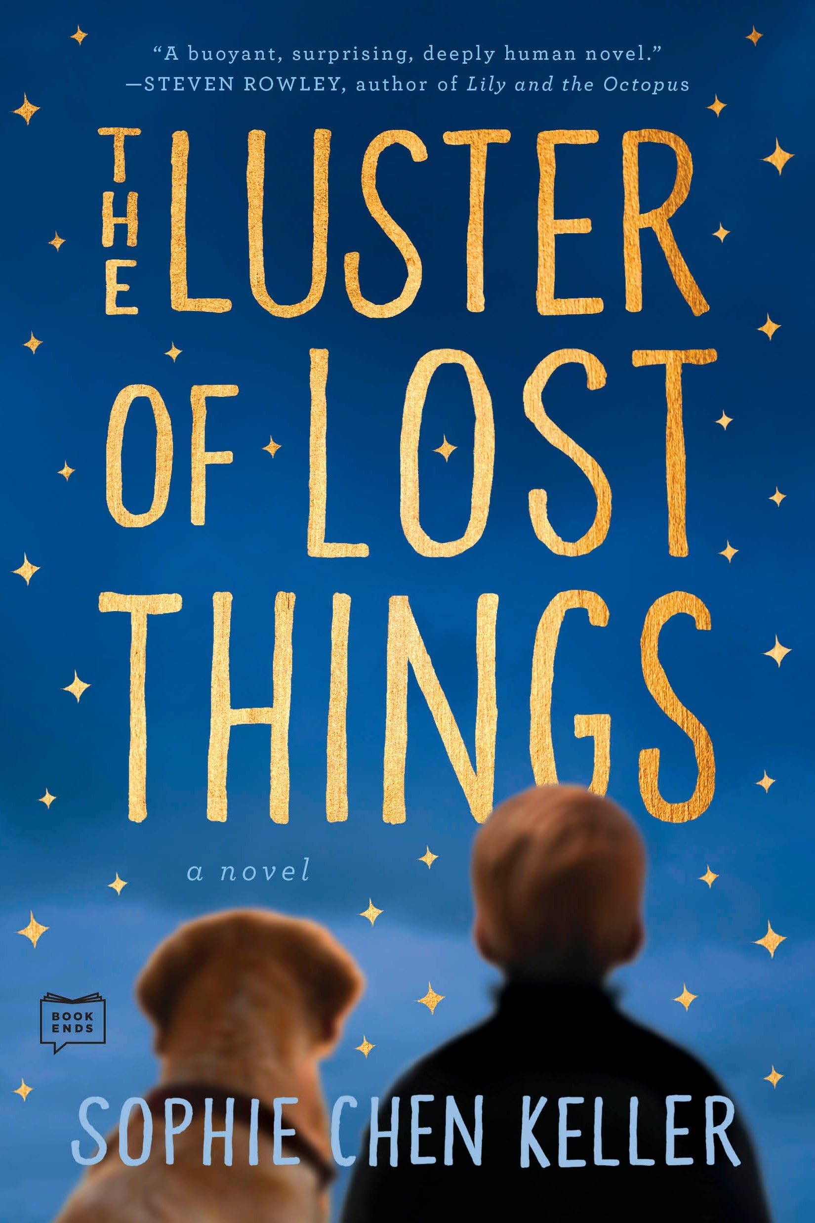 The Luster of Lost Things: A Novel Poetry