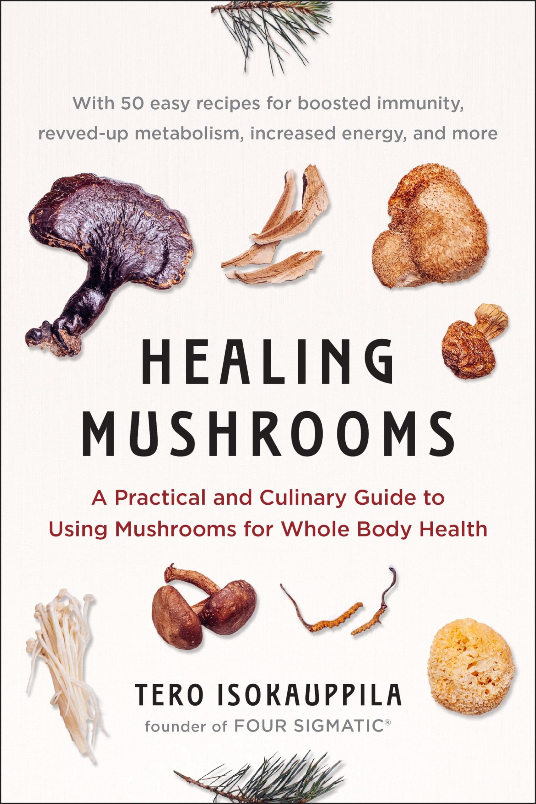 Healing Mushrooms Mathematics