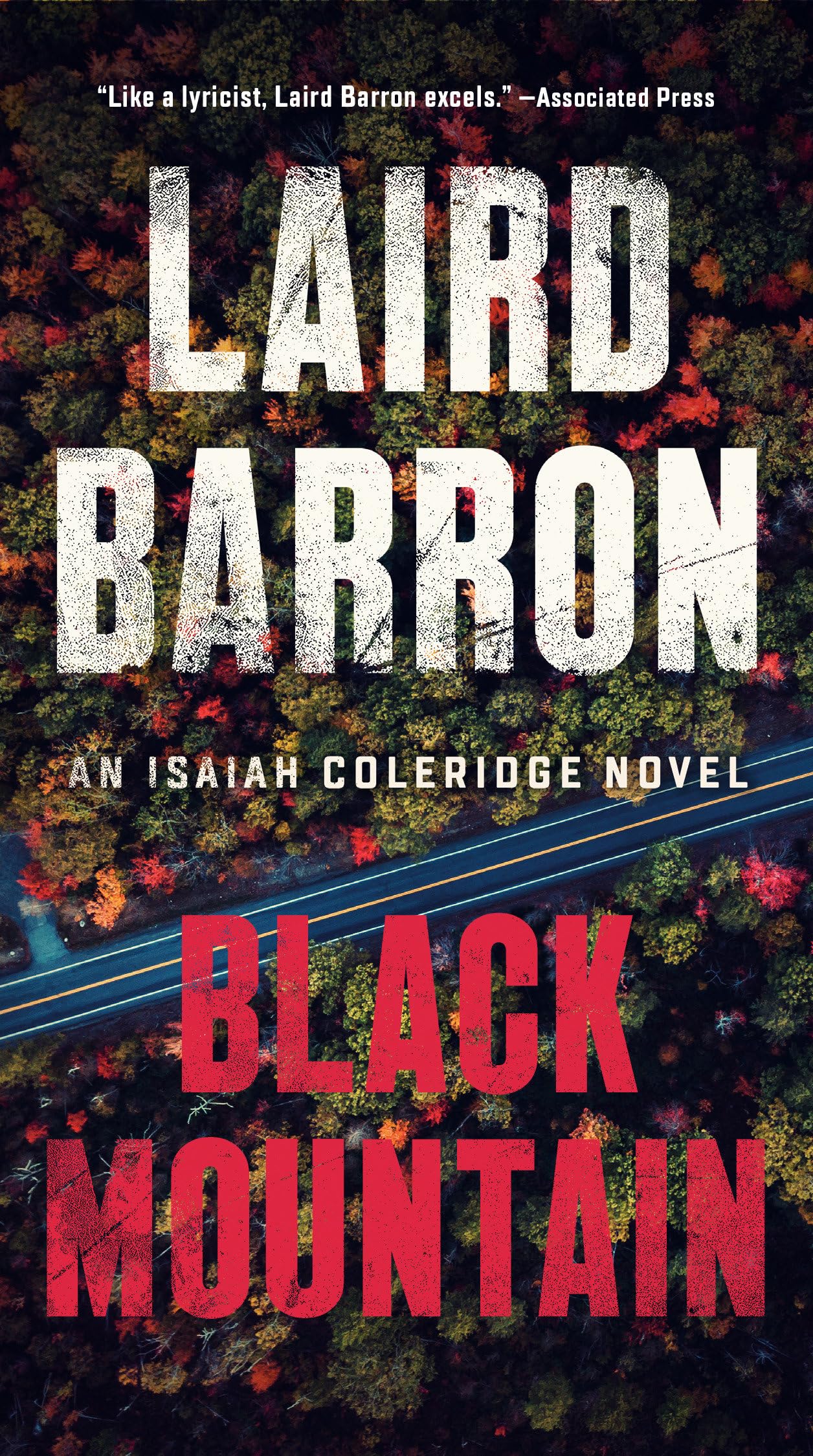 Black Mountain (An Isaiah Coleridge Novel, Band 2) Contemporary literature