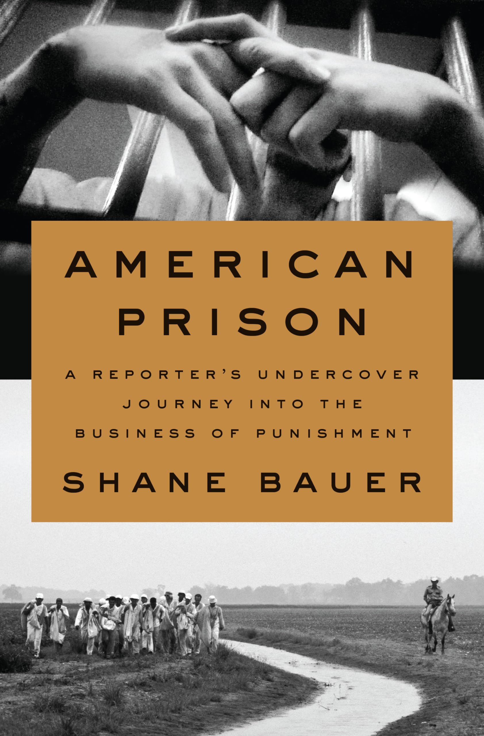 American Prison: A Reporter's Undercover Journey Into the Business of Punishment Law