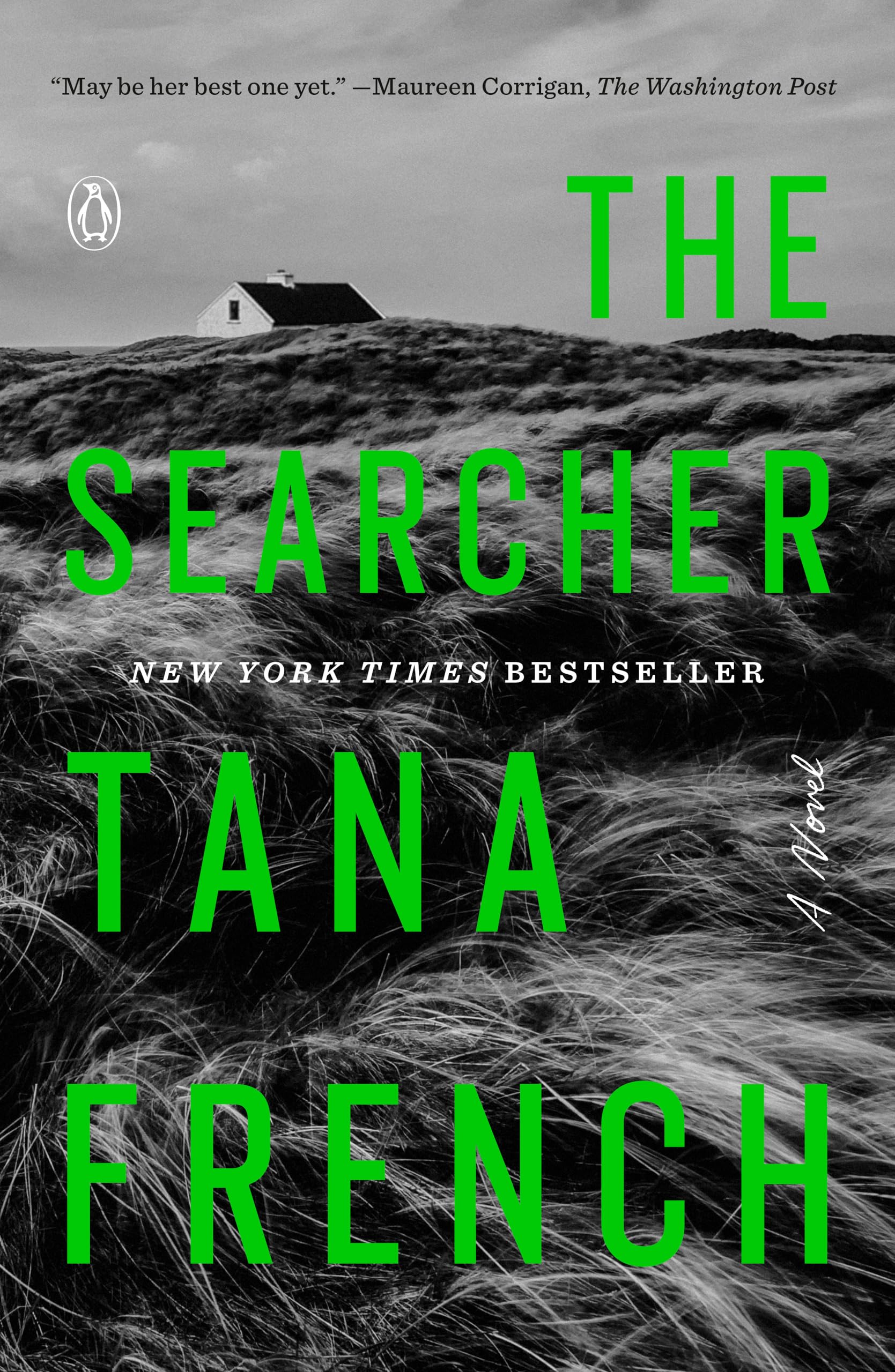 The Searcher Horror & Mystery