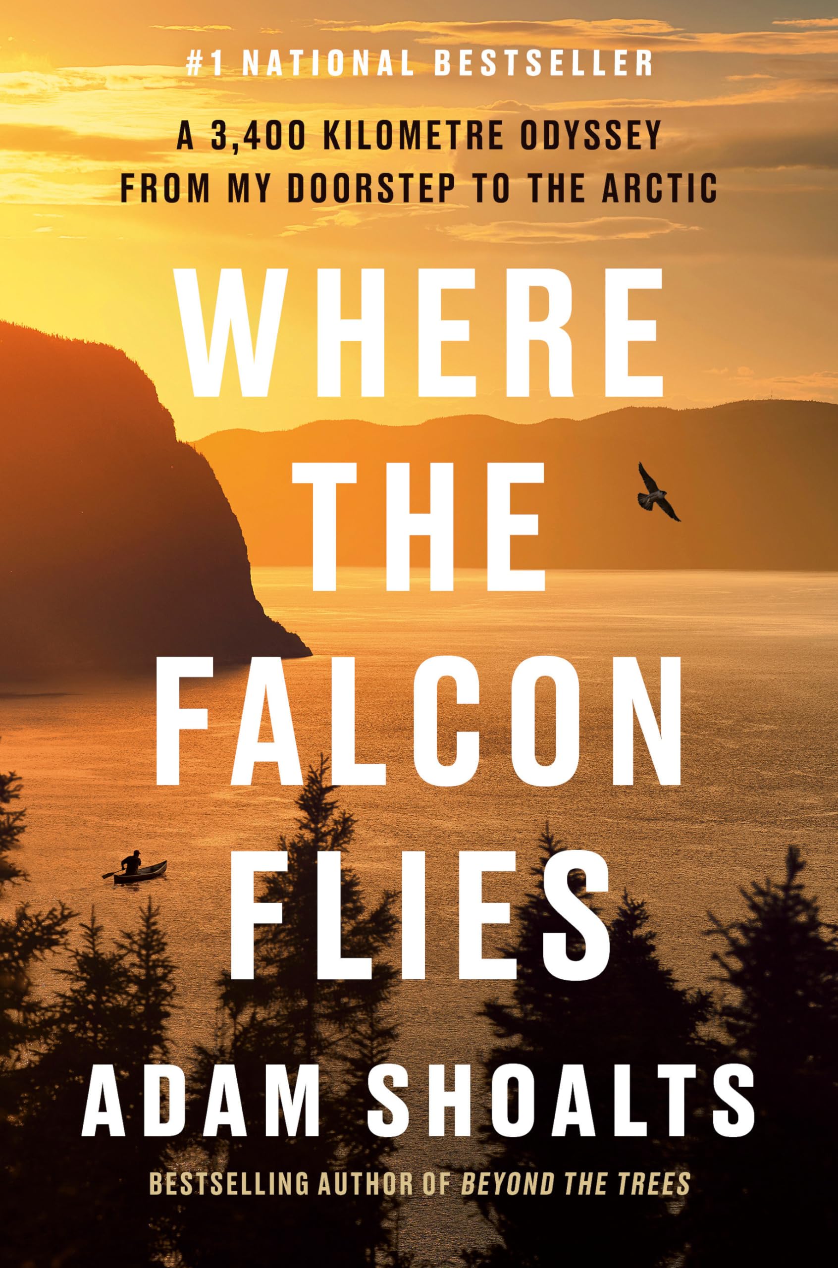 Where the Falcon Flies: A 3,400 Kilometre Odyssey From My Doorstep to the Arctic Politics & Society