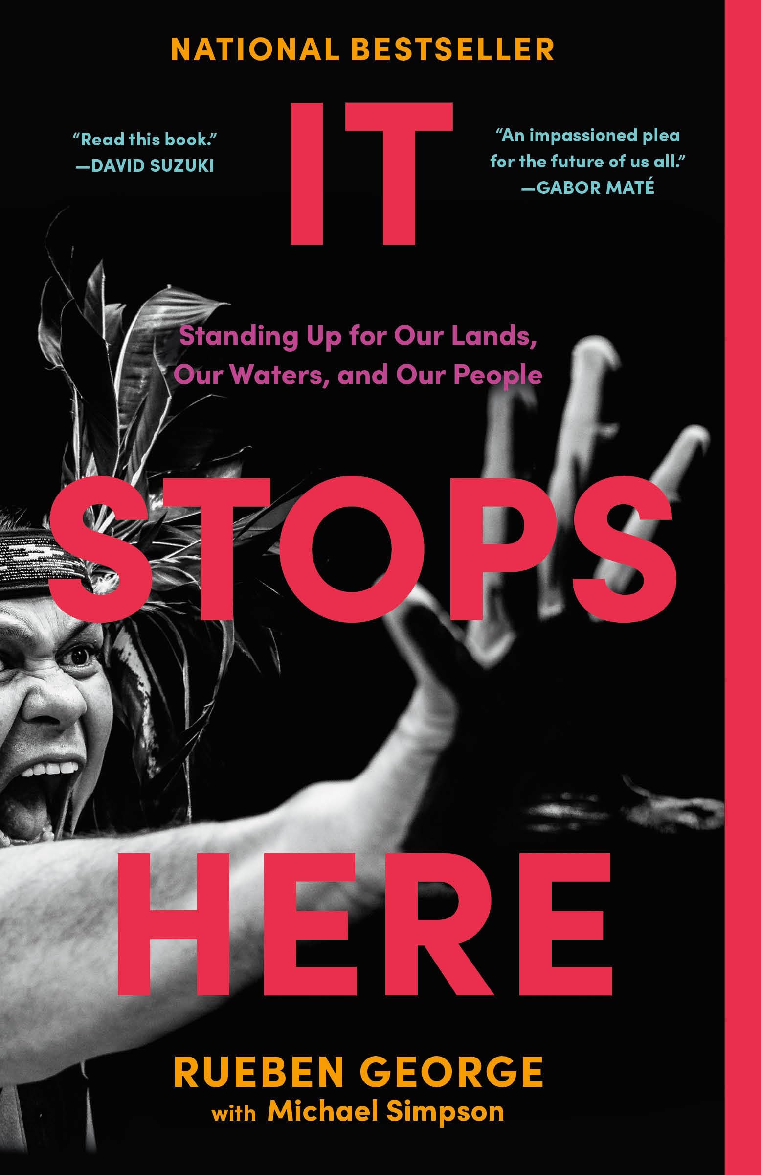 It Stops Here: Standing Up for Our Lands, Our Waters, and Our People Books