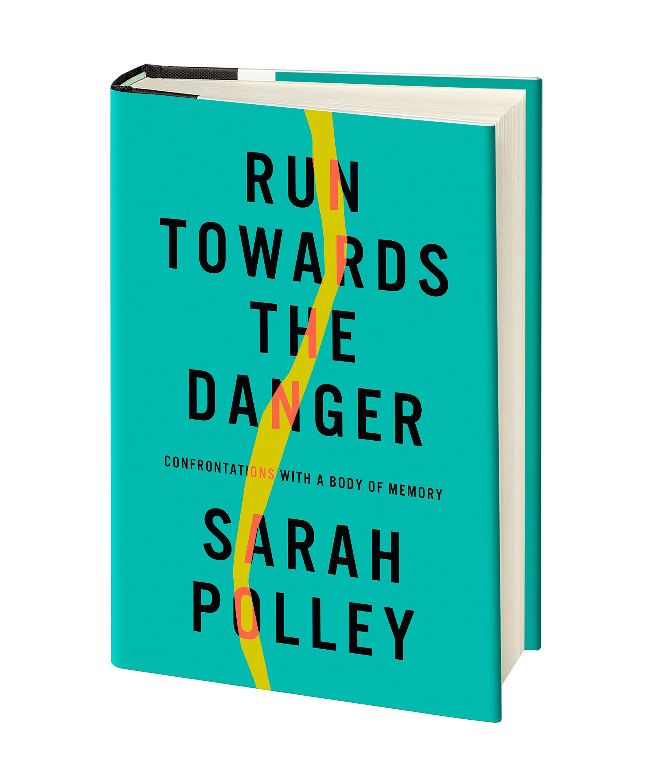 Run Towards the Danger: Confrontations with a Body of Memory Books