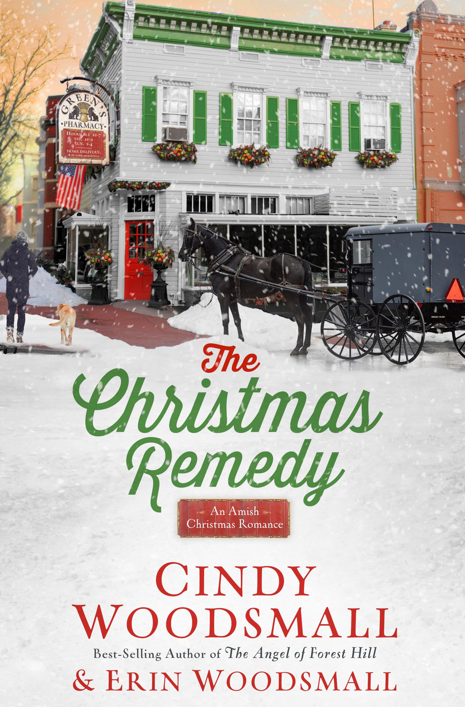The Christmas Remedy: An Amish Christmas Romance Poetry