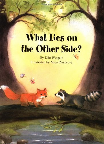 What Lies on the Other Side? book